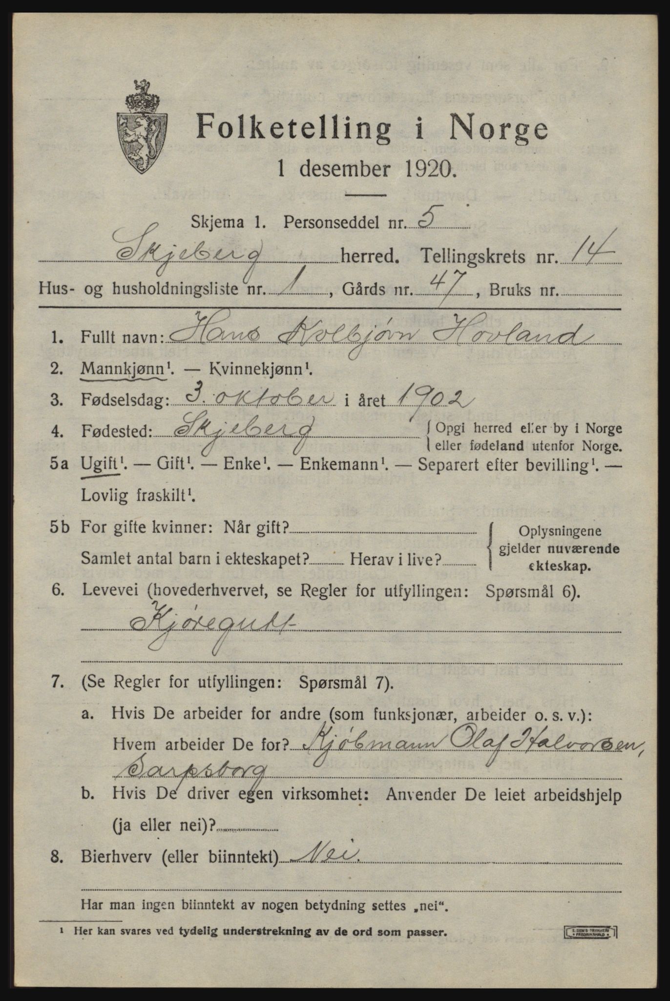 SAO, 1920 census for Skjeberg, 1920, p. 12989