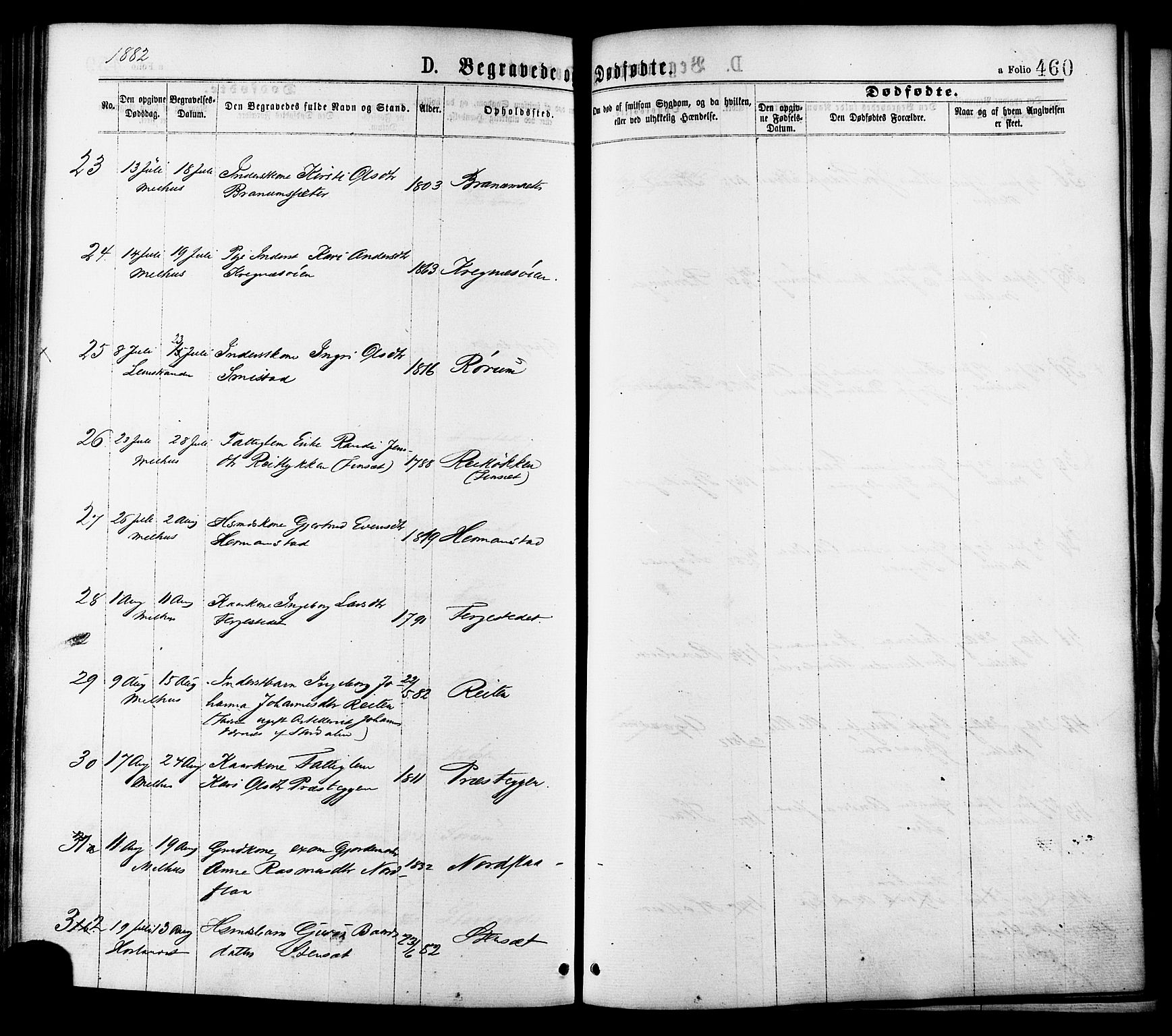 Ministerialprotokoller, klokkerbøker og fødselsregistre - Sør-Trøndelag, AV/SAT-A-1456/691/L1079: Parish register (official) no. 691A11, 1873-1886, p. 460