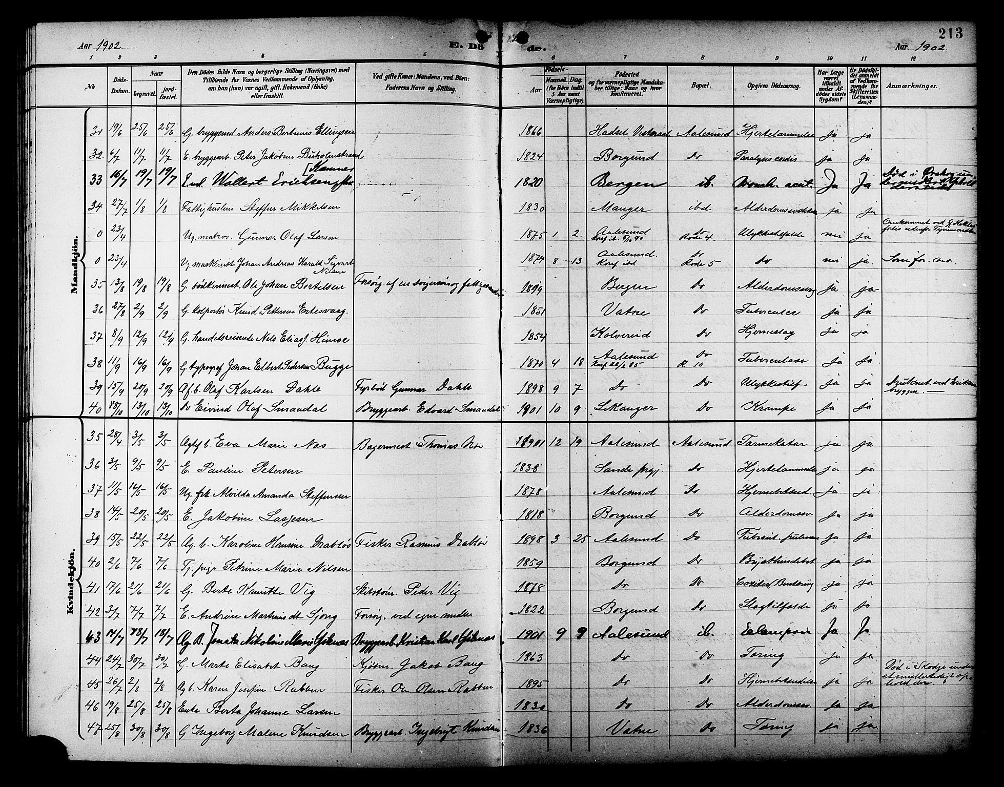 Ministerialprotokoller, klokkerbøker og fødselsregistre - Møre og Romsdal, AV/SAT-A-1454/529/L0469: Parish register (copy) no. 529C06, 1898-1906, p. 213