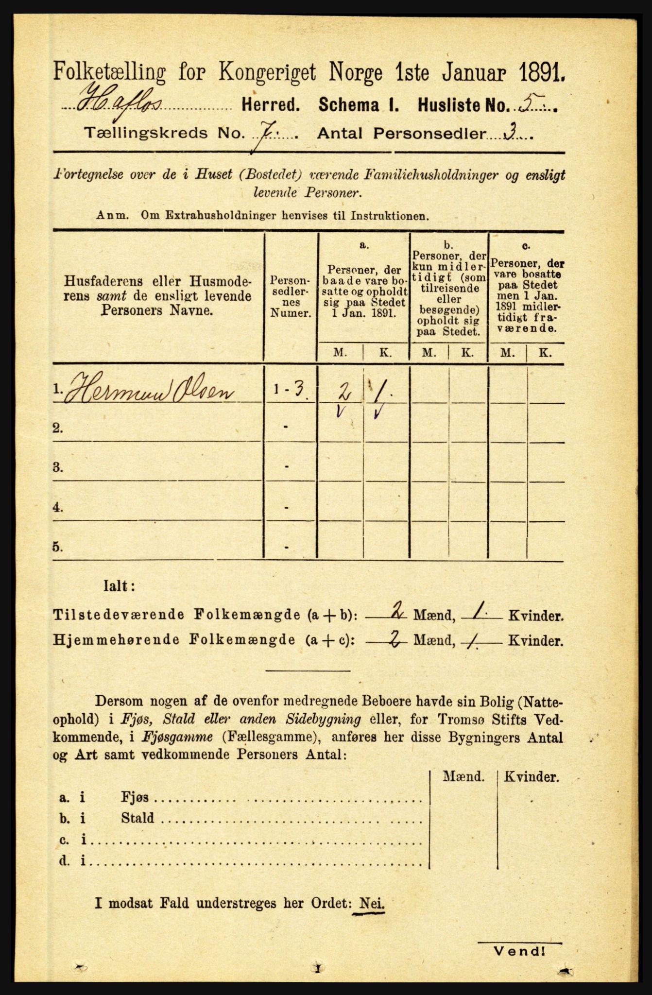 RA, 1891 census for 1425 Hafslo, 1891, p. 2671