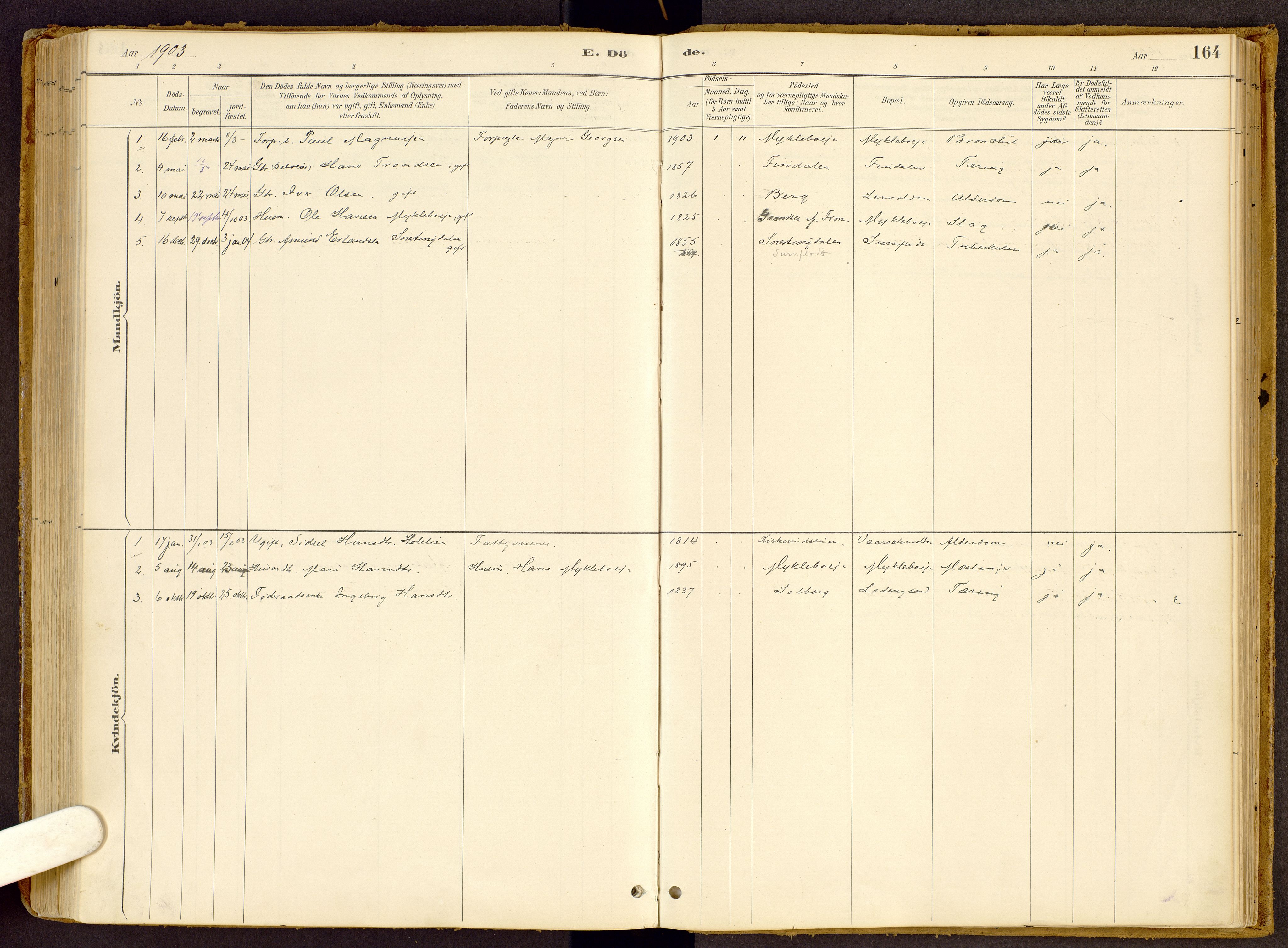 Vestre Gausdal prestekontor, SAH/PREST-094/H/Ha/Haa/L0002: Parish register (official) no. 2, 1887-1918, p. 164