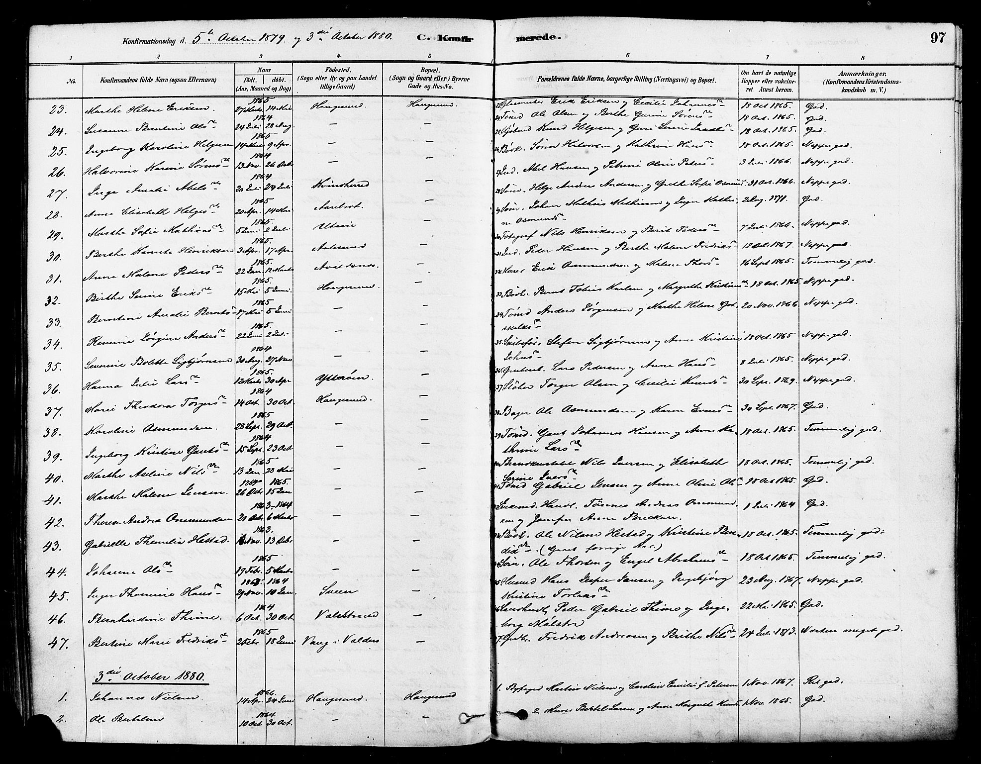 Haugesund sokneprestkontor, AV/SAST-A -101863/H/Ha/Haa/L0001: Parish register (official) no. A 1, 1878-1885, p. 97