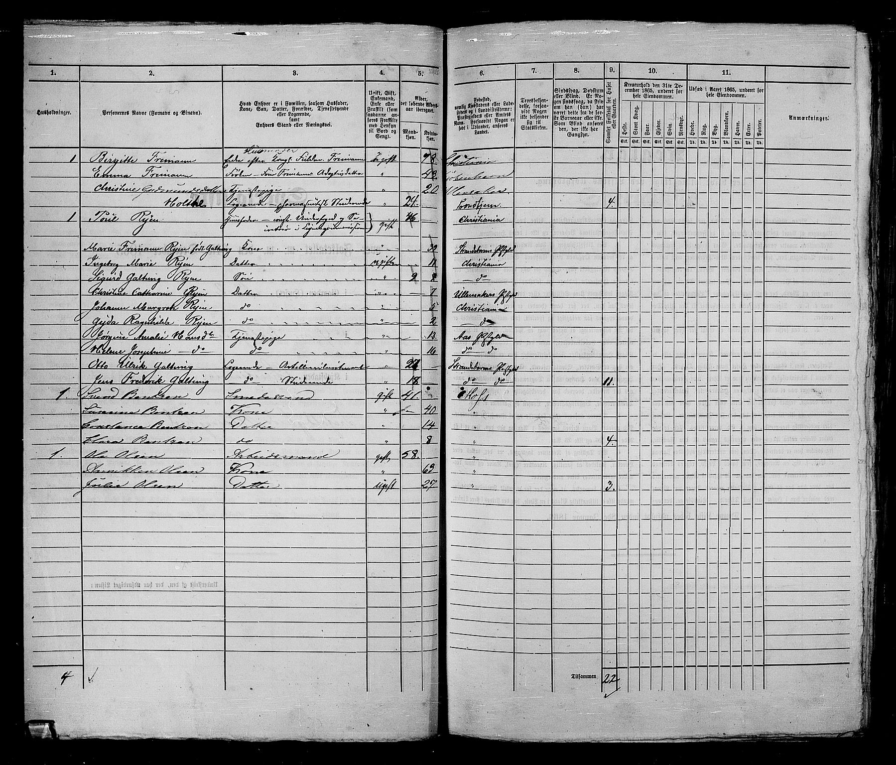 RA, 1865 census for Kristiania, 1865, p. 1715