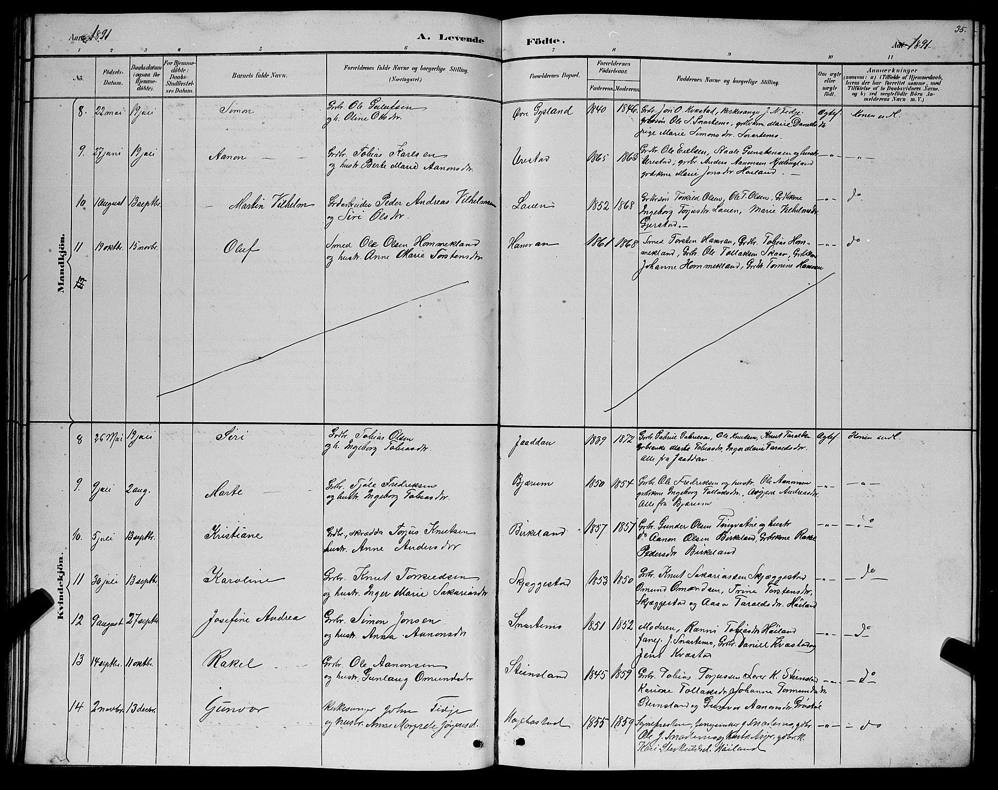 Hægebostad sokneprestkontor, AV/SAK-1111-0024/F/Fb/Fba/L0003: Parish register (copy) no. B 3, 1883-1896, p. 35