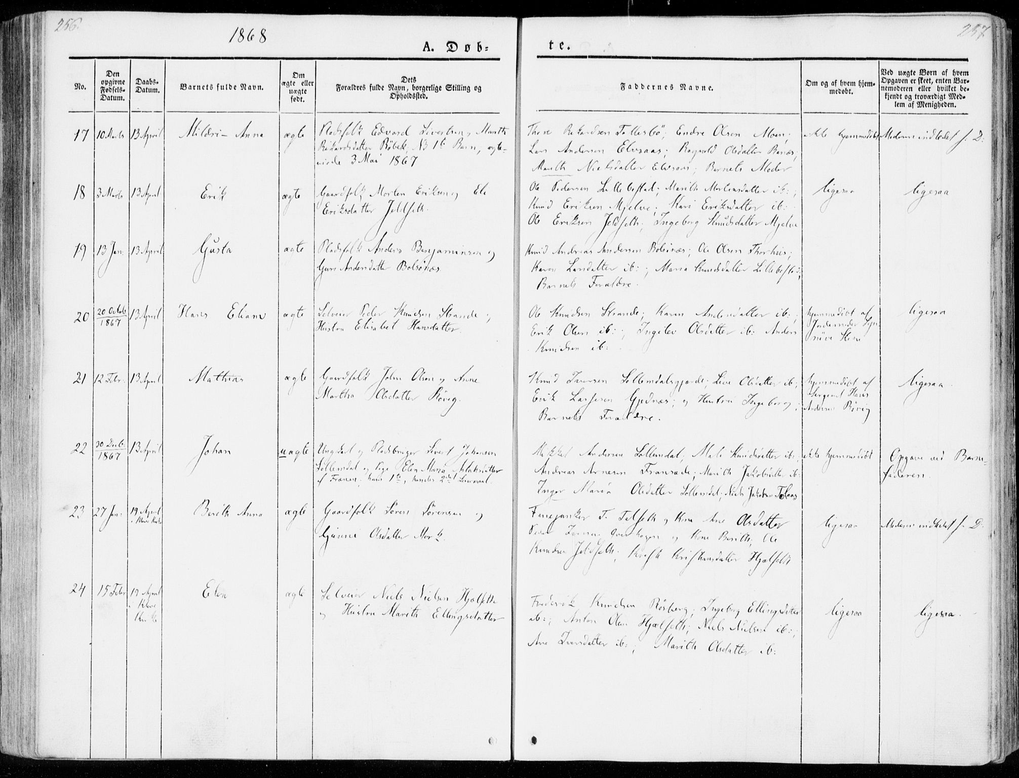 Ministerialprotokoller, klokkerbøker og fødselsregistre - Møre og Romsdal, AV/SAT-A-1454/555/L0653: Parish register (official) no. 555A04, 1843-1869, p. 256-257