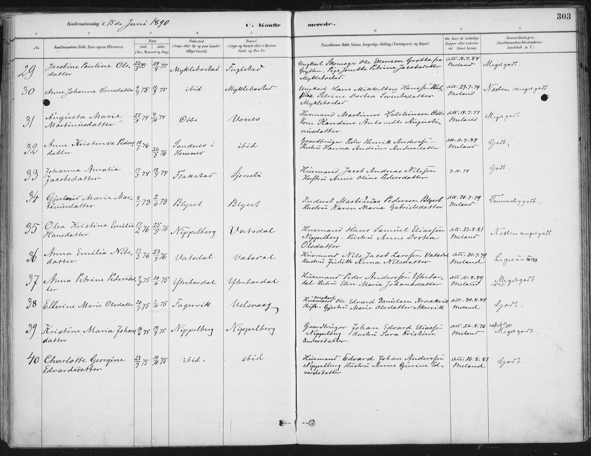 Ministerialprotokoller, klokkerbøker og fødselsregistre - Nordland, AV/SAT-A-1459/838/L0552: Parish register (official) no. 838A10, 1880-1910, p. 303