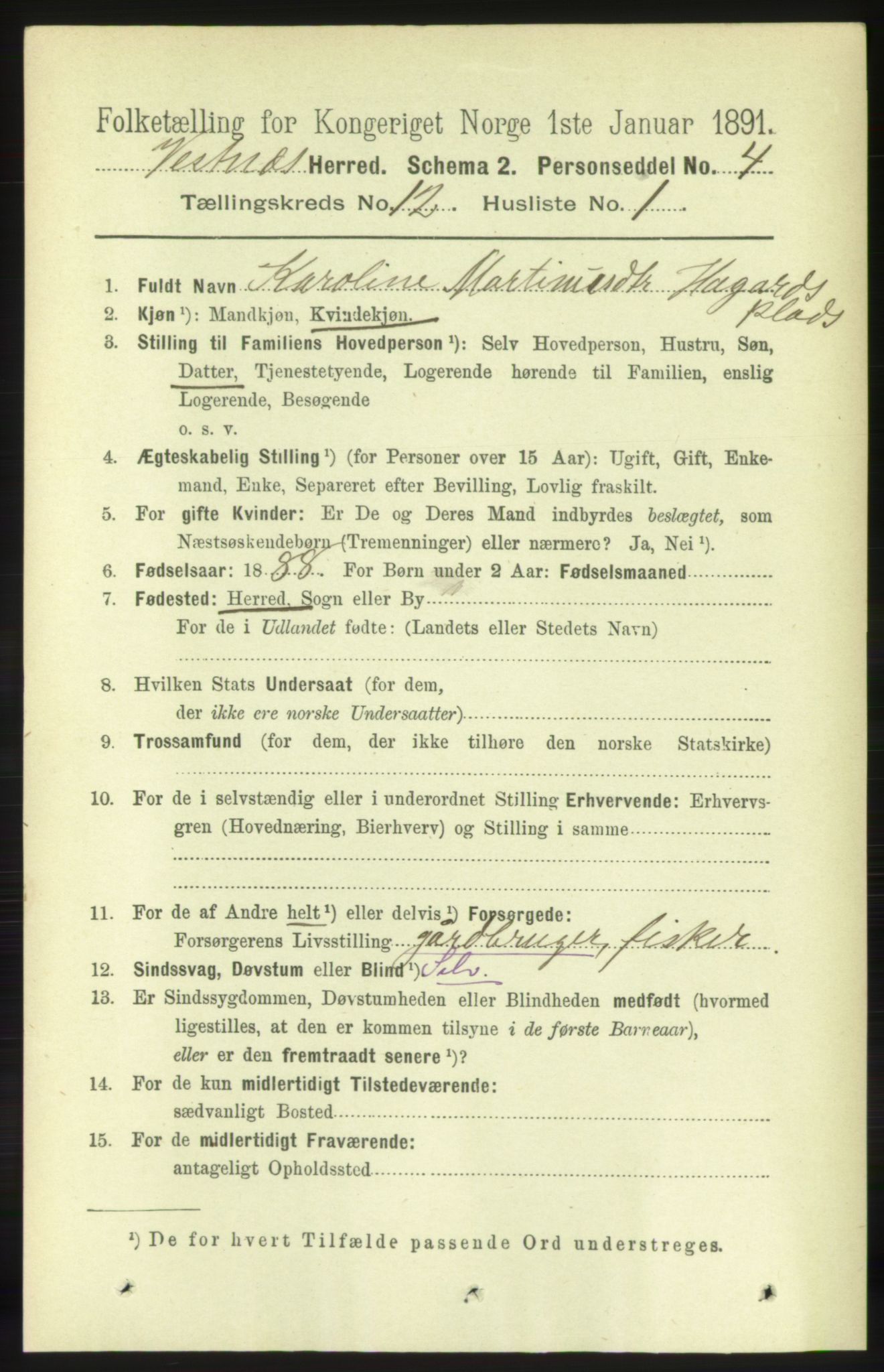 RA, 1891 census for 1535 Vestnes, 1891, p. 4419