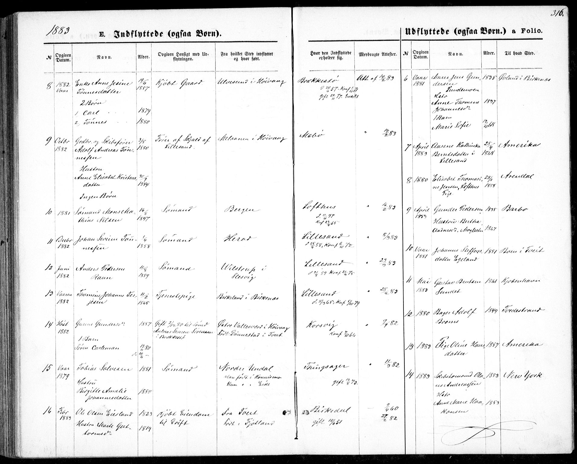 Vestre Moland sokneprestkontor, AV/SAK-1111-0046/F/Fb/Fbb/L0005: Parish register (copy) no. B 5, 1872-1883, p. 316