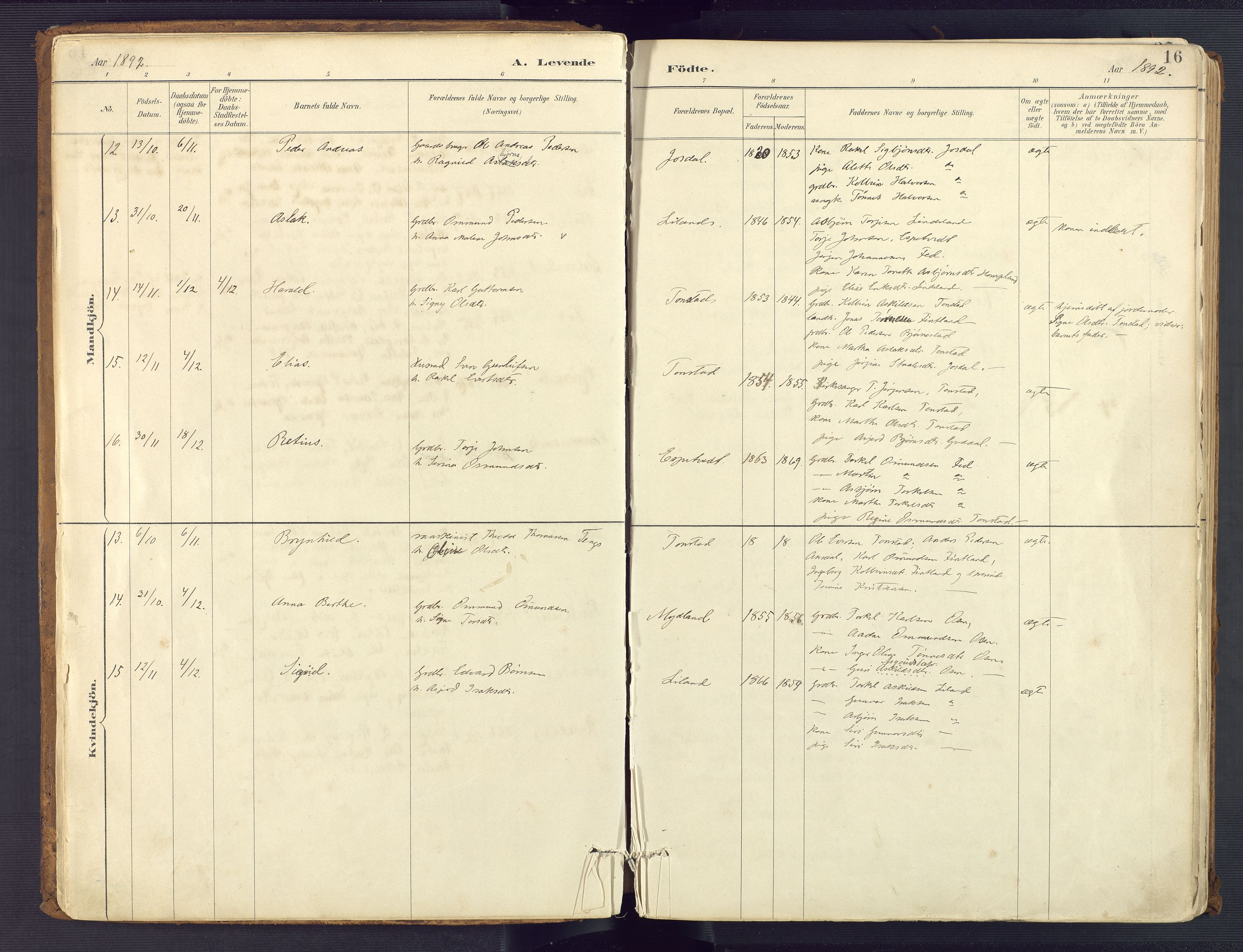 Sirdal sokneprestkontor, AV/SAK-1111-0036/F/Fa/Fab/L0004: Parish register (official) no. A 4, 1887-1919, p. 16