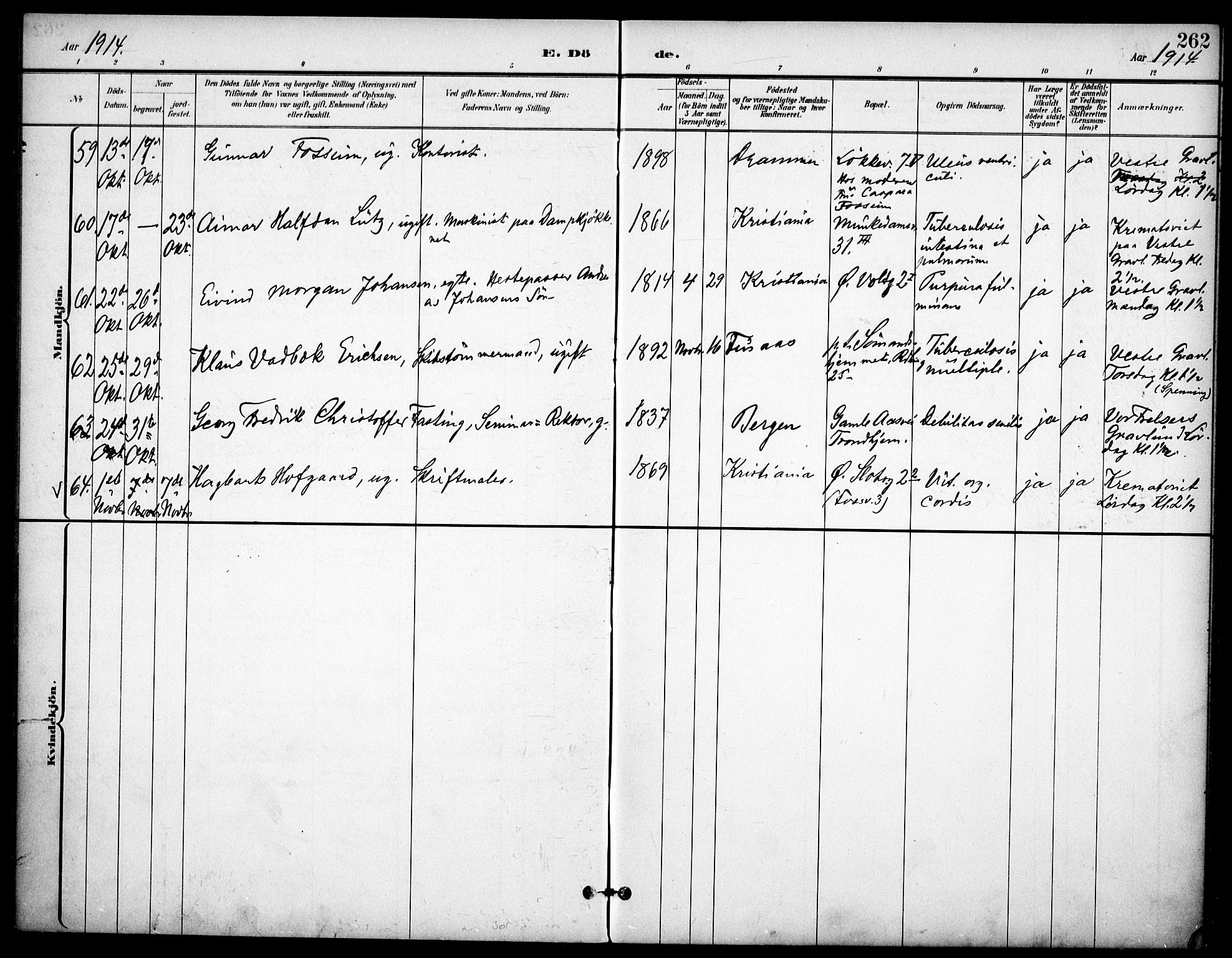 Johannes prestekontor Kirkebøker, AV/SAO-A-10852/F/Fa/L0008: Parish register (official) no. 8, 1897-1917, p. 262