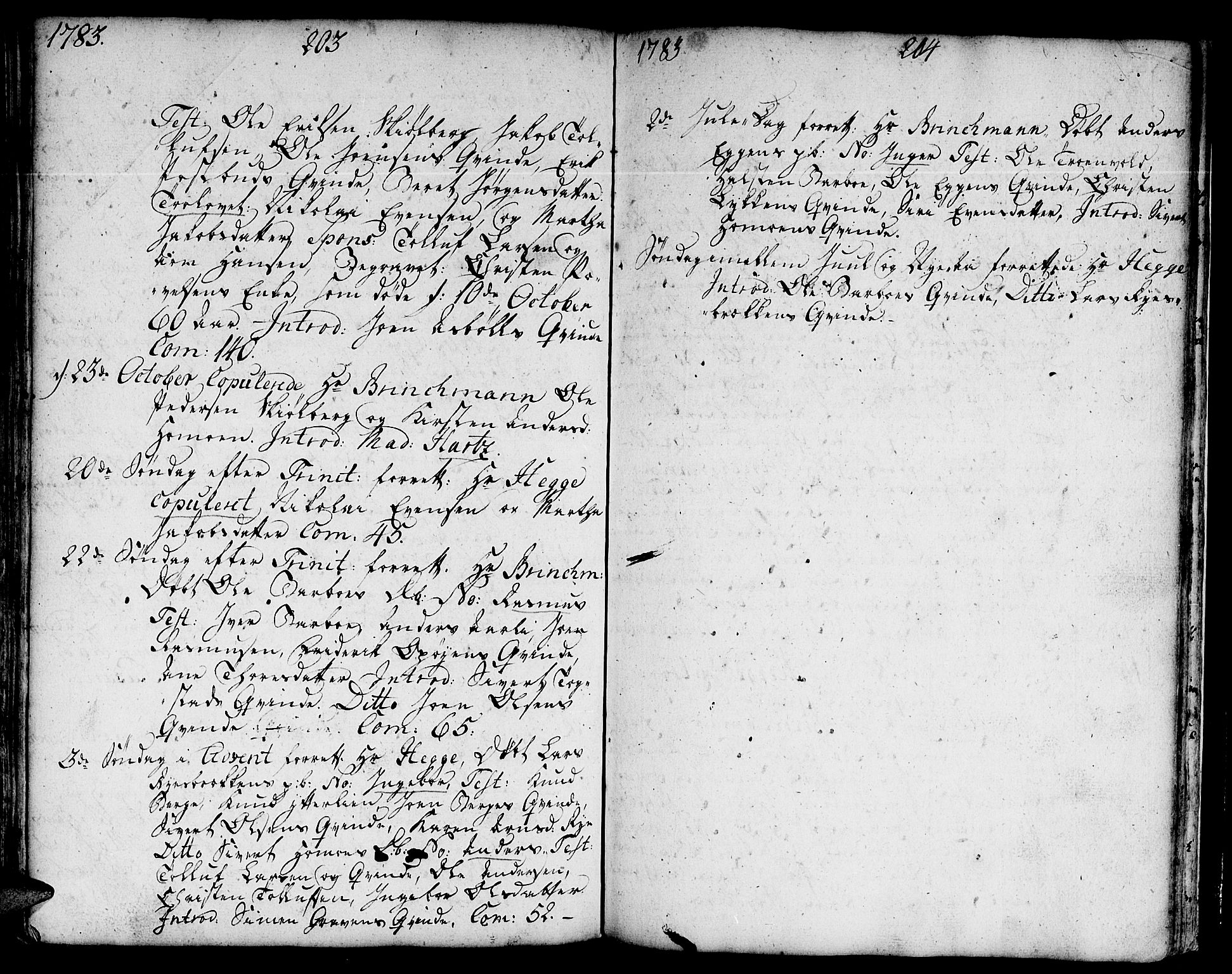 Ministerialprotokoller, klokkerbøker og fødselsregistre - Sør-Trøndelag, SAT/A-1456/671/L0840: Parish register (official) no. 671A02, 1756-1794, p. 303-304