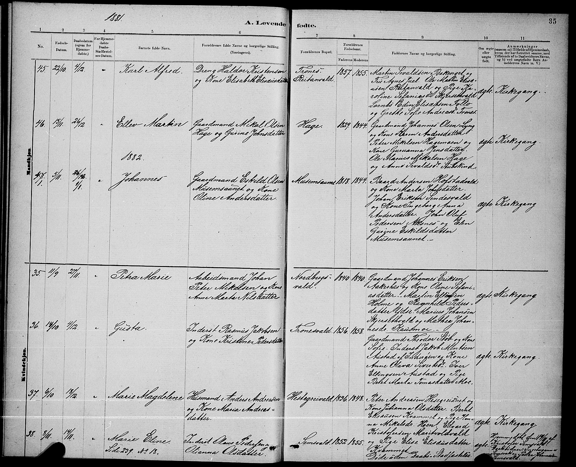 Ministerialprotokoller, klokkerbøker og fødselsregistre - Nord-Trøndelag, AV/SAT-A-1458/723/L0256: Parish register (copy) no. 723C04, 1879-1890, p. 35