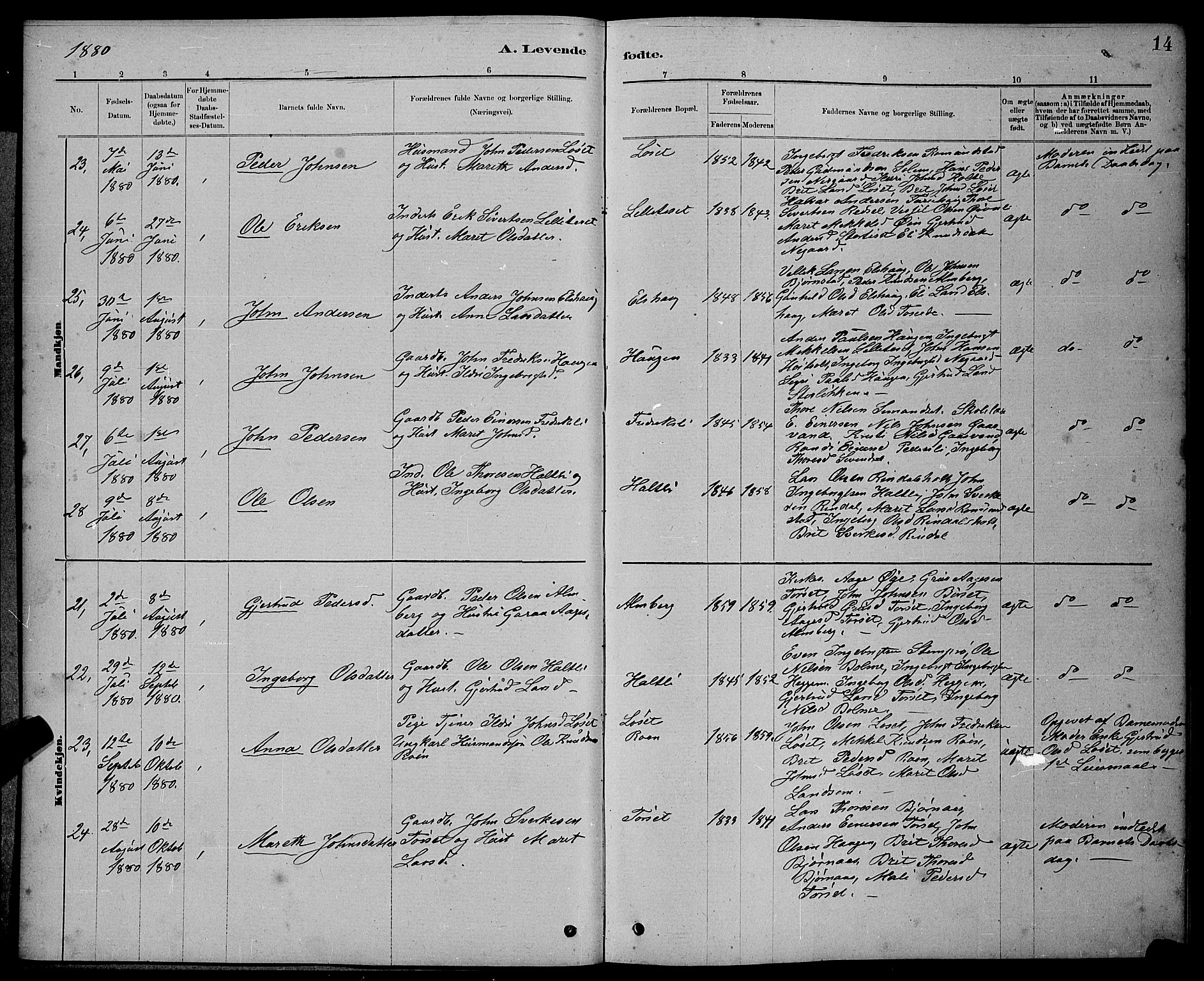 Ministerialprotokoller, klokkerbøker og fødselsregistre - Møre og Romsdal, AV/SAT-A-1454/598/L1077: Parish register (copy) no. 598C02, 1879-1891, p. 14