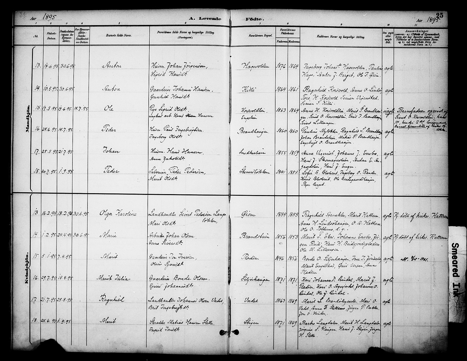 Dovre prestekontor, AV/SAH-PREST-066/H/Ha/Haa/L0003: Parish register (official) no. 3, 1891-1901, p. 25