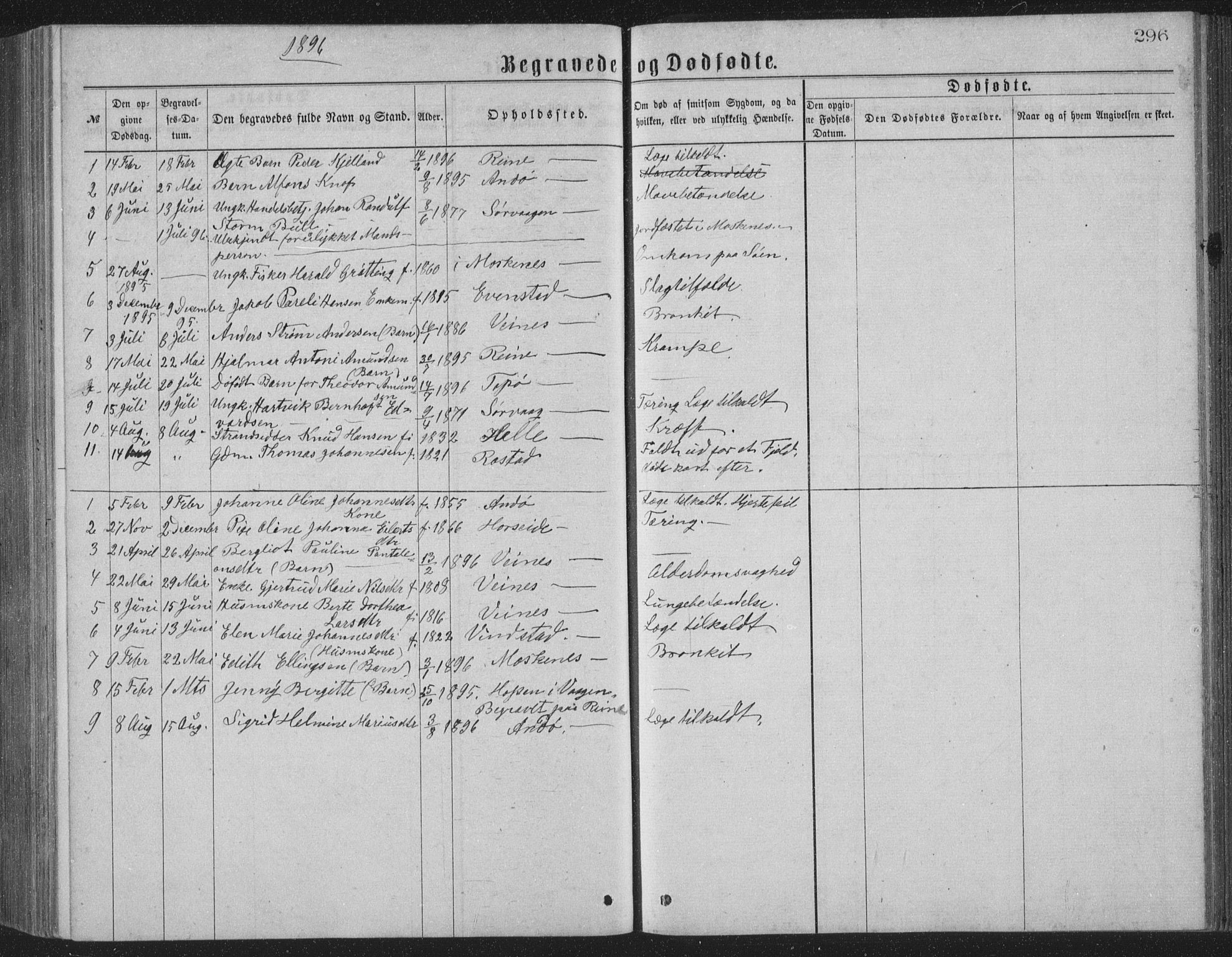 Ministerialprotokoller, klokkerbøker og fødselsregistre - Nordland, AV/SAT-A-1459/886/L1225: Parish register (copy) no. 886C02, 1874-1896, p. 296