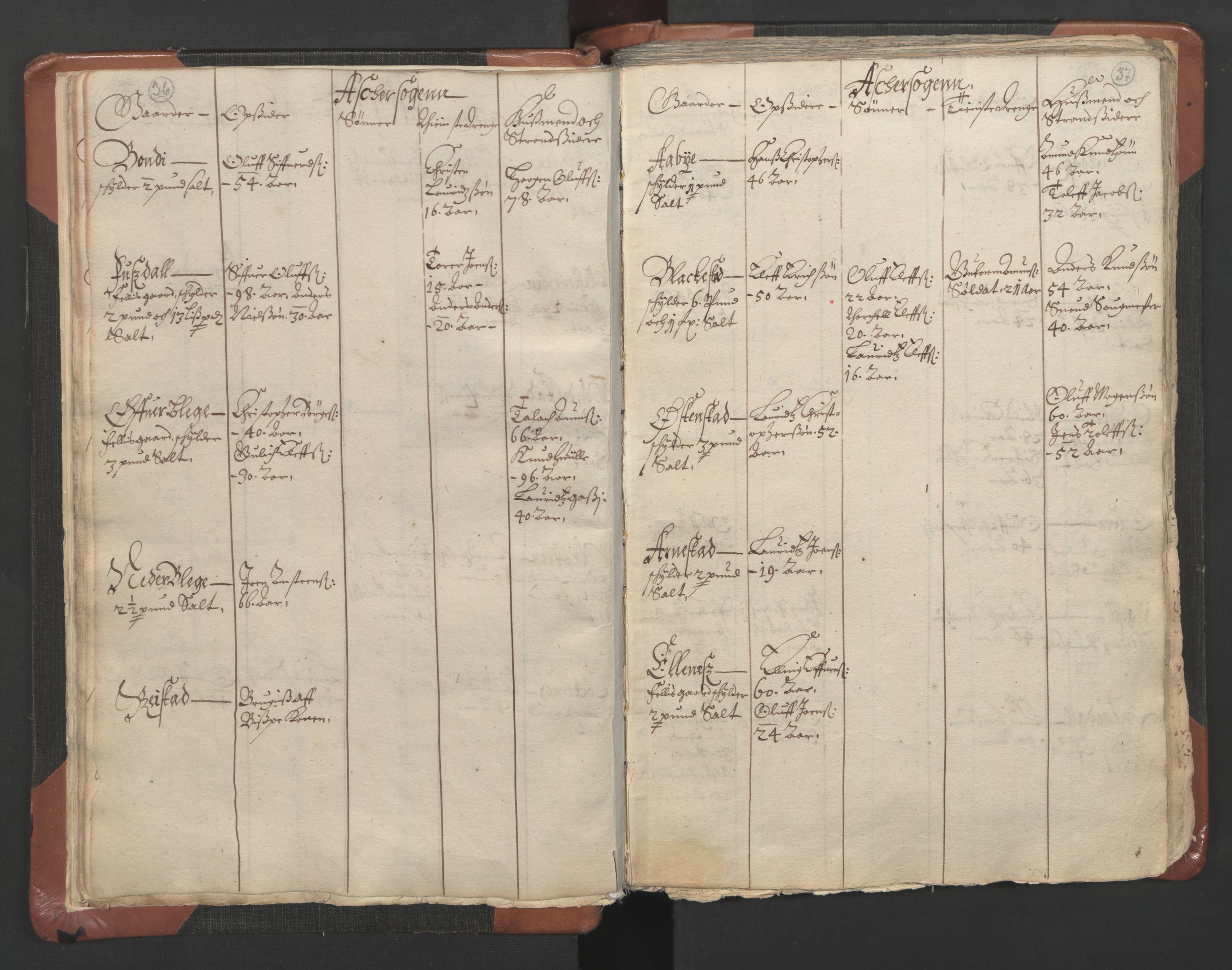 RA, Vicar's Census 1664-1666, no. 9: Bragernes deanery, 1664-1666, p. 36-37