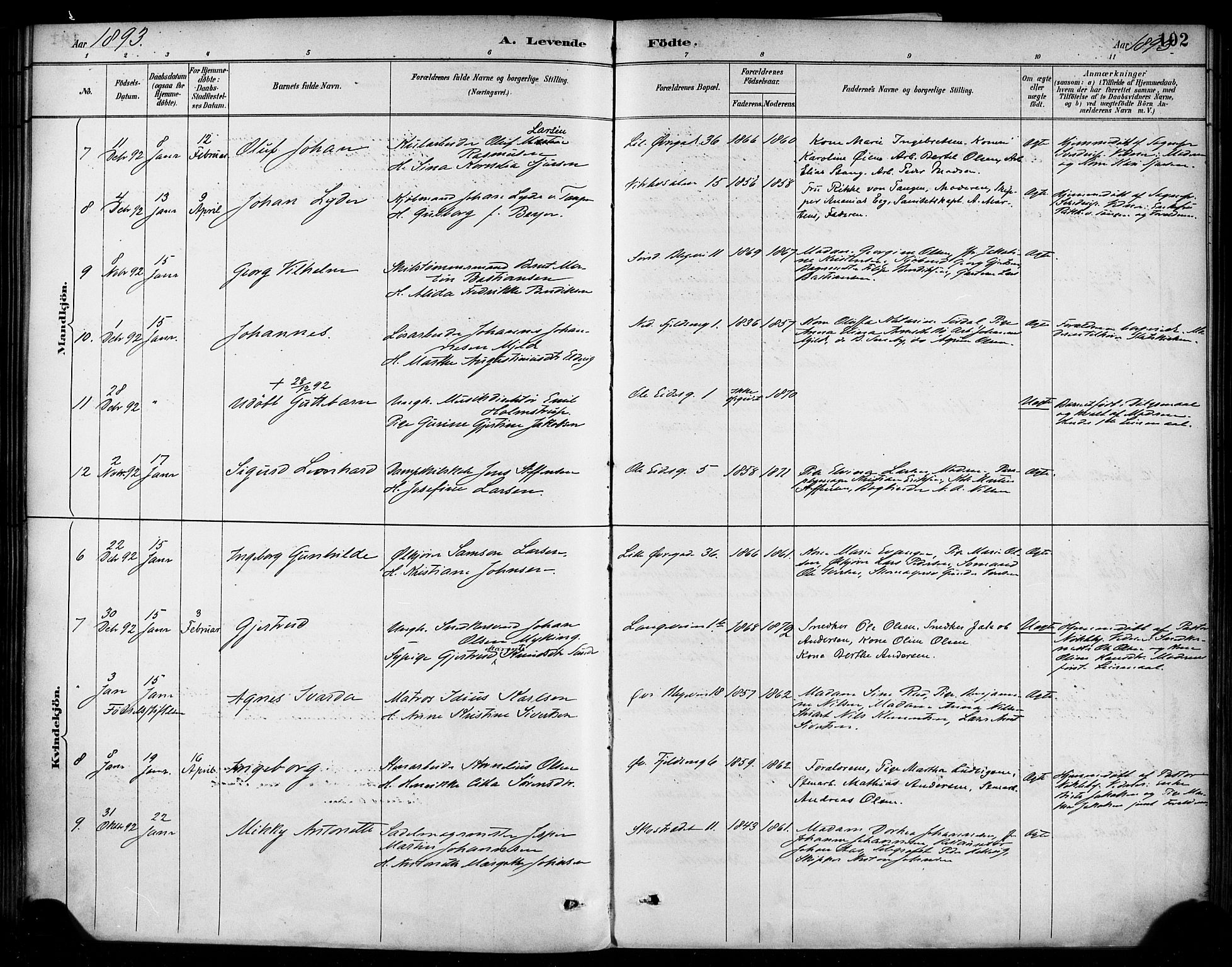 Korskirken sokneprestembete, SAB/A-76101/H/Haa/L0022: Parish register (official) no. B 8, 1889-1899, p. 102