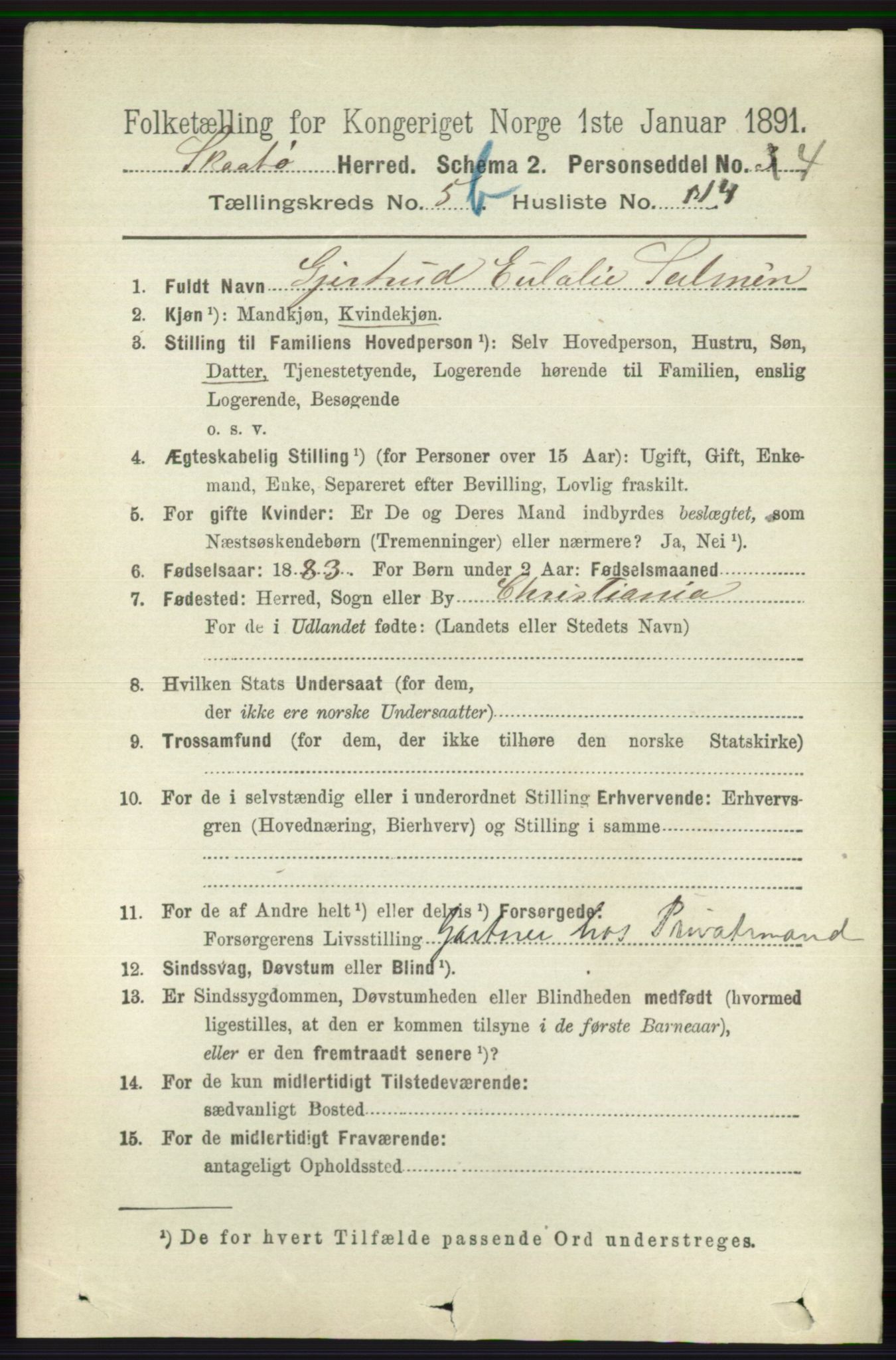 RA, 1891 census for 0815 Skåtøy, 1891, p. 2632