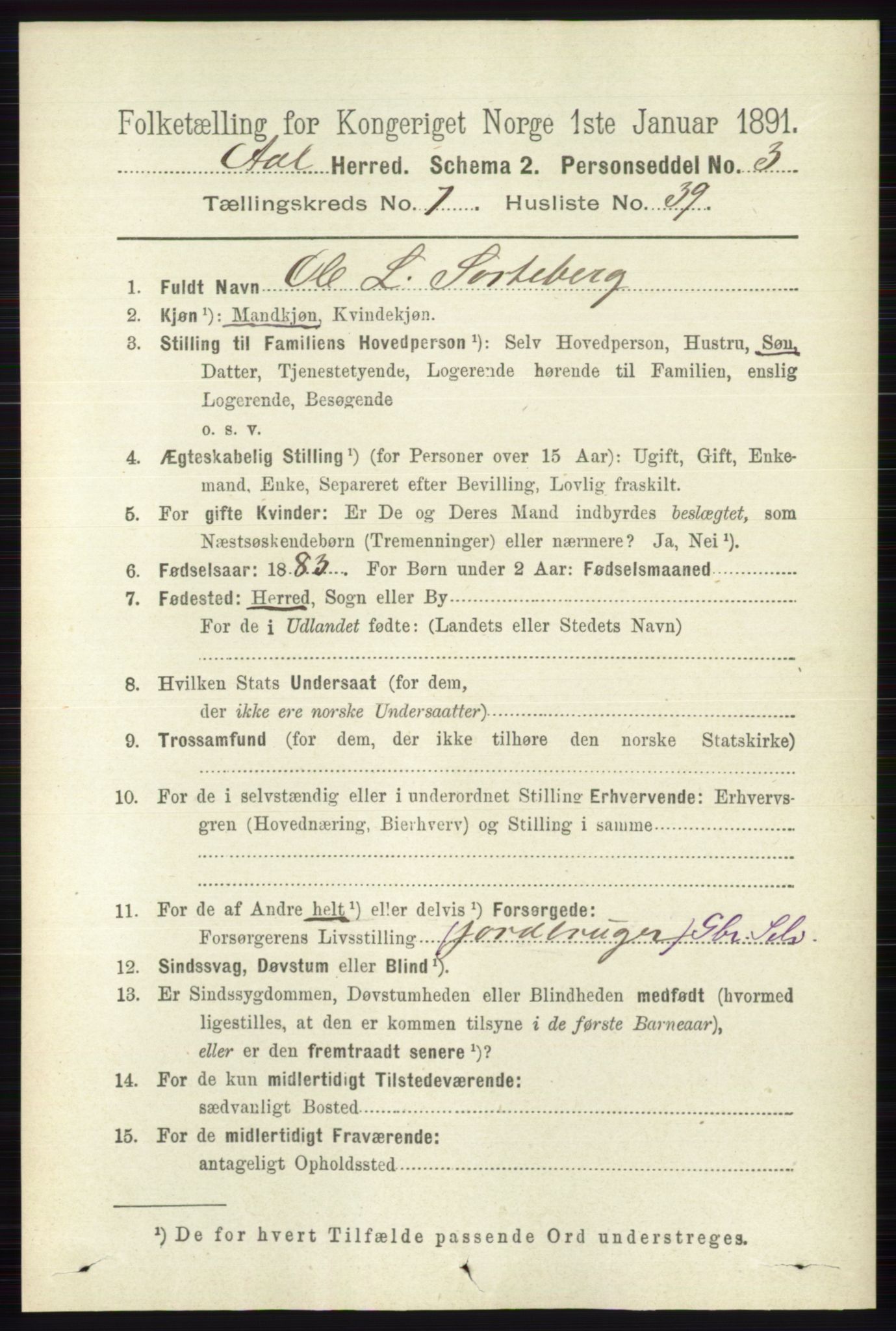 RA, 1891 census for 0619 Ål, 1891, p. 1998