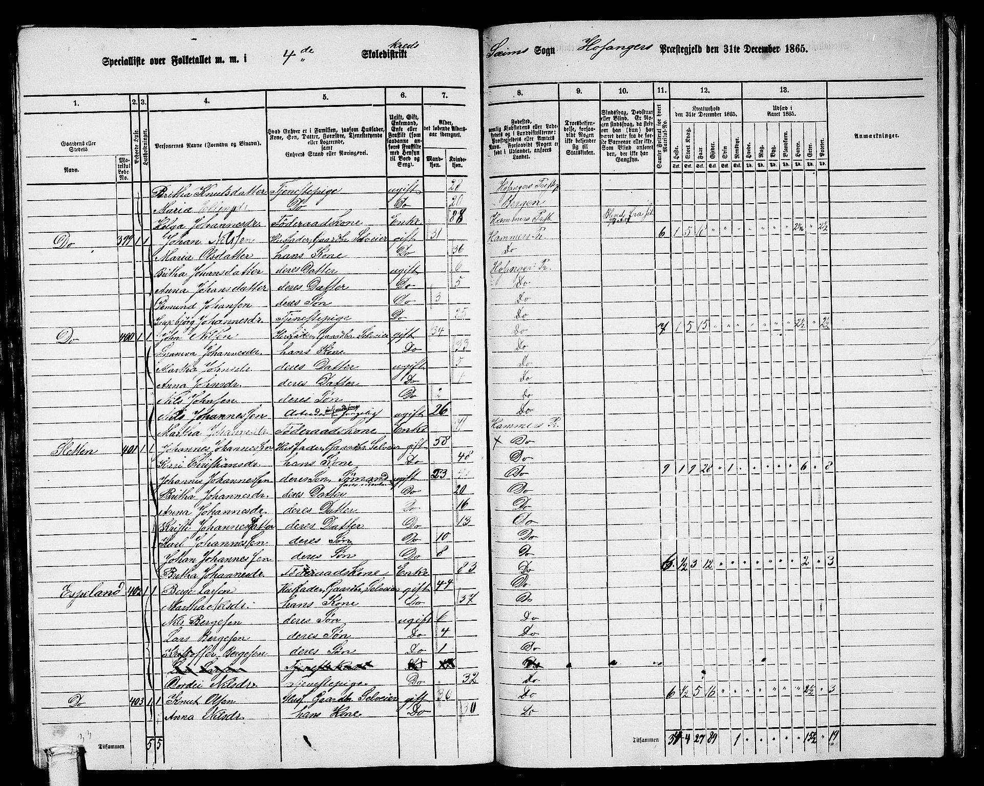 RA, 1865 census for Hosanger, 1865, p. 167