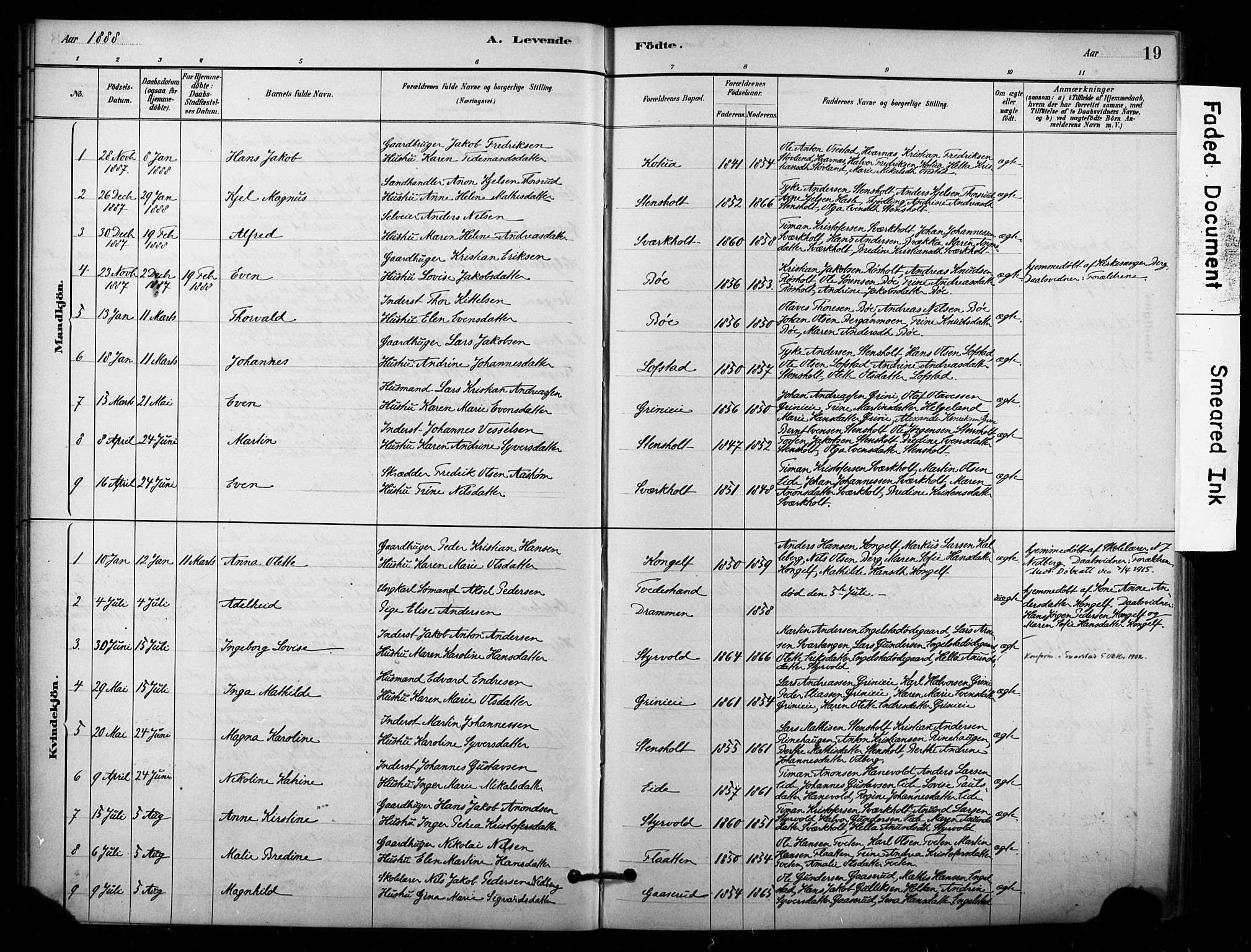 Lardal kirkebøker, SAKO/A-350/F/Fd/L0001: Parish register (official) no. IV 1, 1881-1907, p. 19