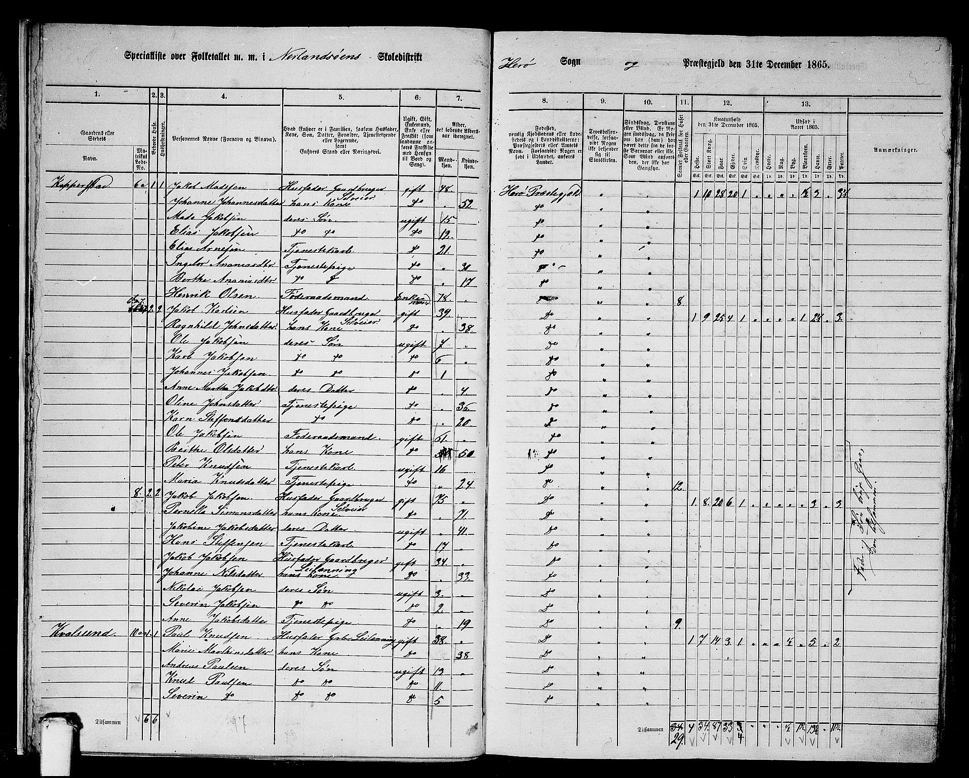 RA, 1865 census for Herøy, 1865, p. 17