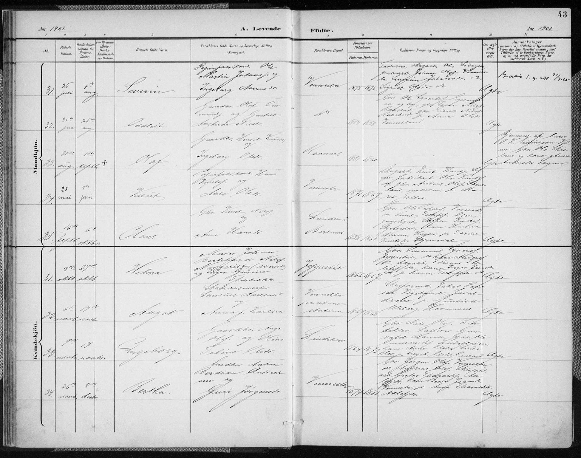 Vennesla sokneprestkontor, AV/SAK-1111-0045/Fa/Fab/L0005: Parish register (official) no. A 5, 1897-1909, p. 43