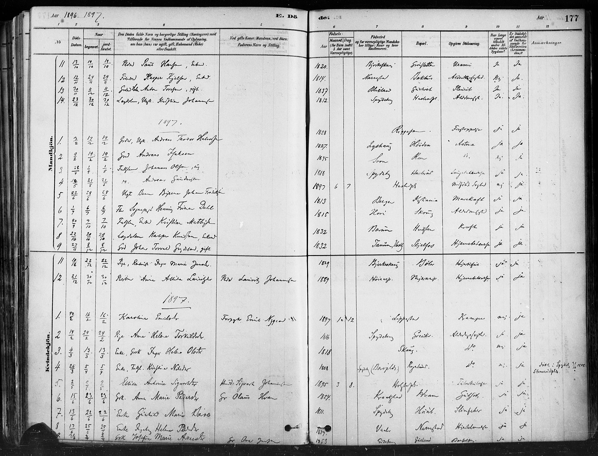 Hobøl prestekontor Kirkebøker, SAO/A-2002/F/Fa/L0005: Parish register (official) no. I 5, 1878-1904, p. 177