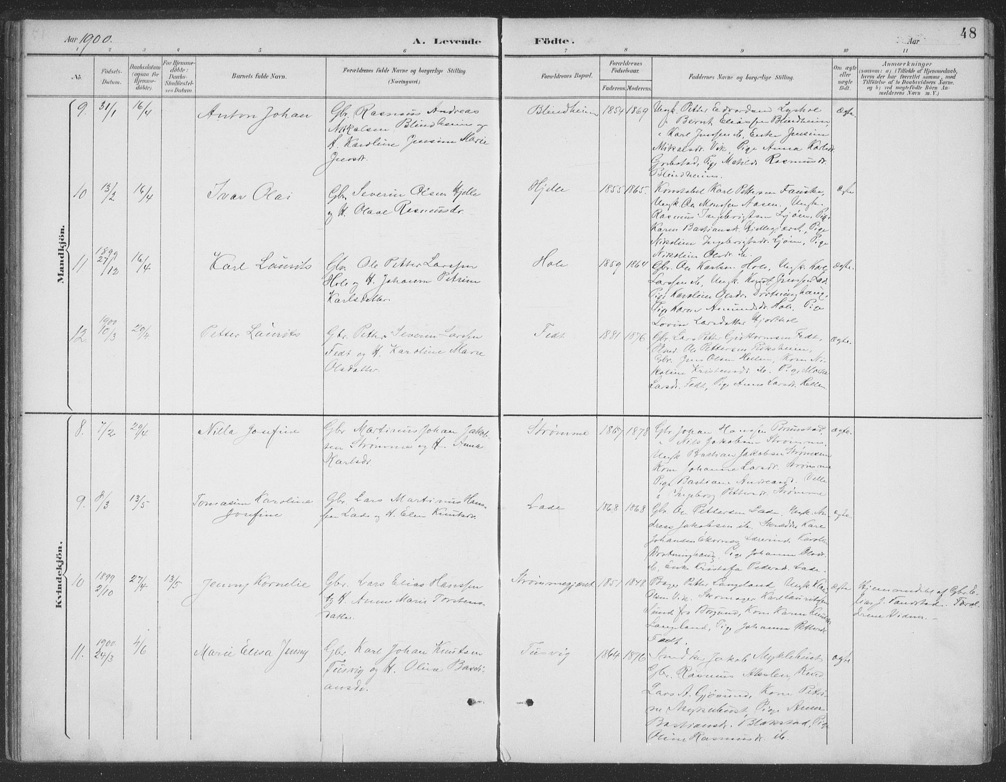 Ministerialprotokoller, klokkerbøker og fødselsregistre - Møre og Romsdal, AV/SAT-A-1454/523/L0335: Parish register (official) no. 523A02, 1891-1911, p. 48