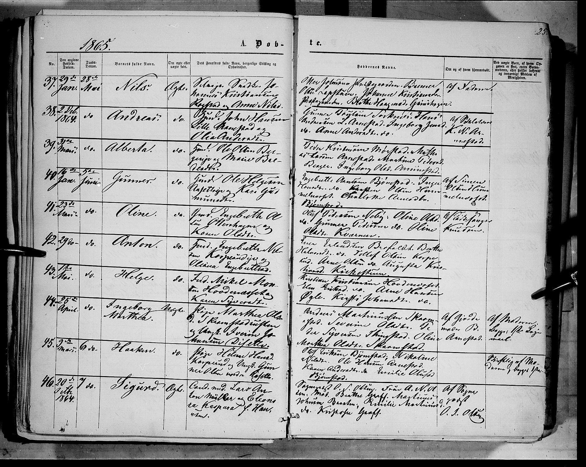 Åmot prestekontor, Hedmark, AV/SAH-PREST-056/H/Ha/Haa/L0008: Parish register (official) no. 8, 1862-1875, p. 25