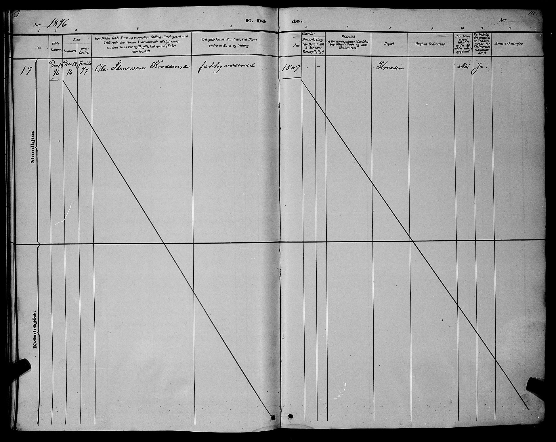 Hægebostad sokneprestkontor, AV/SAK-1111-0024/F/Fb/Fba/L0003: Parish register (copy) no. B 3, 1883-1896, p. 116