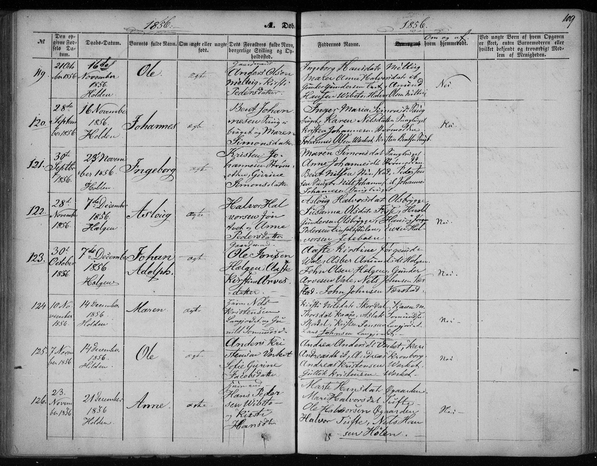 Holla kirkebøker, AV/SAKO-A-272/F/Fa/L0005: Parish register (official) no. 5, 1849-1860, p. 109