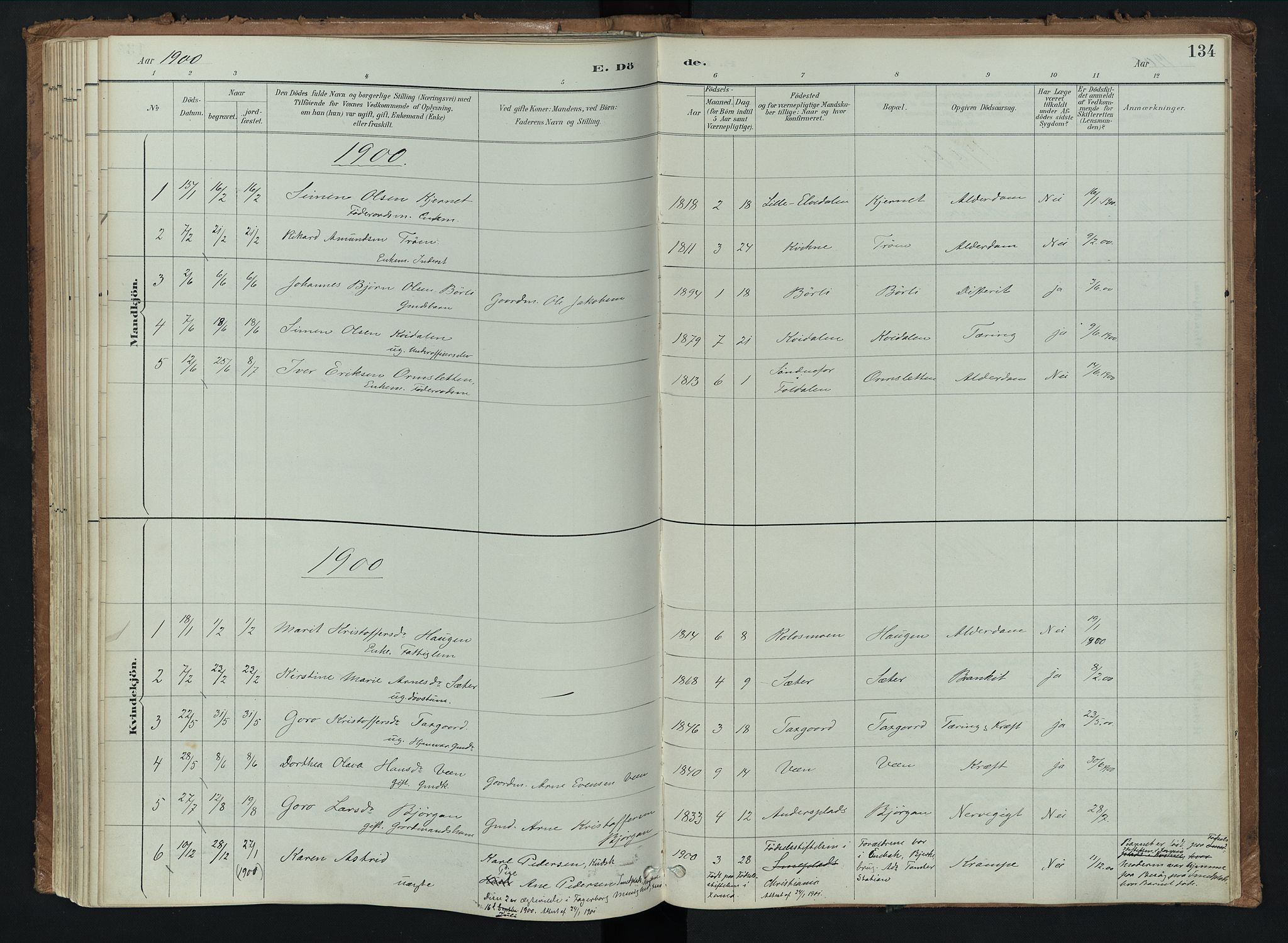 Kvikne prestekontor, AV/SAH-PREST-064/H/Ha/Haa/L0008: Parish register (official) no. 8, 1887-1911, p. 134