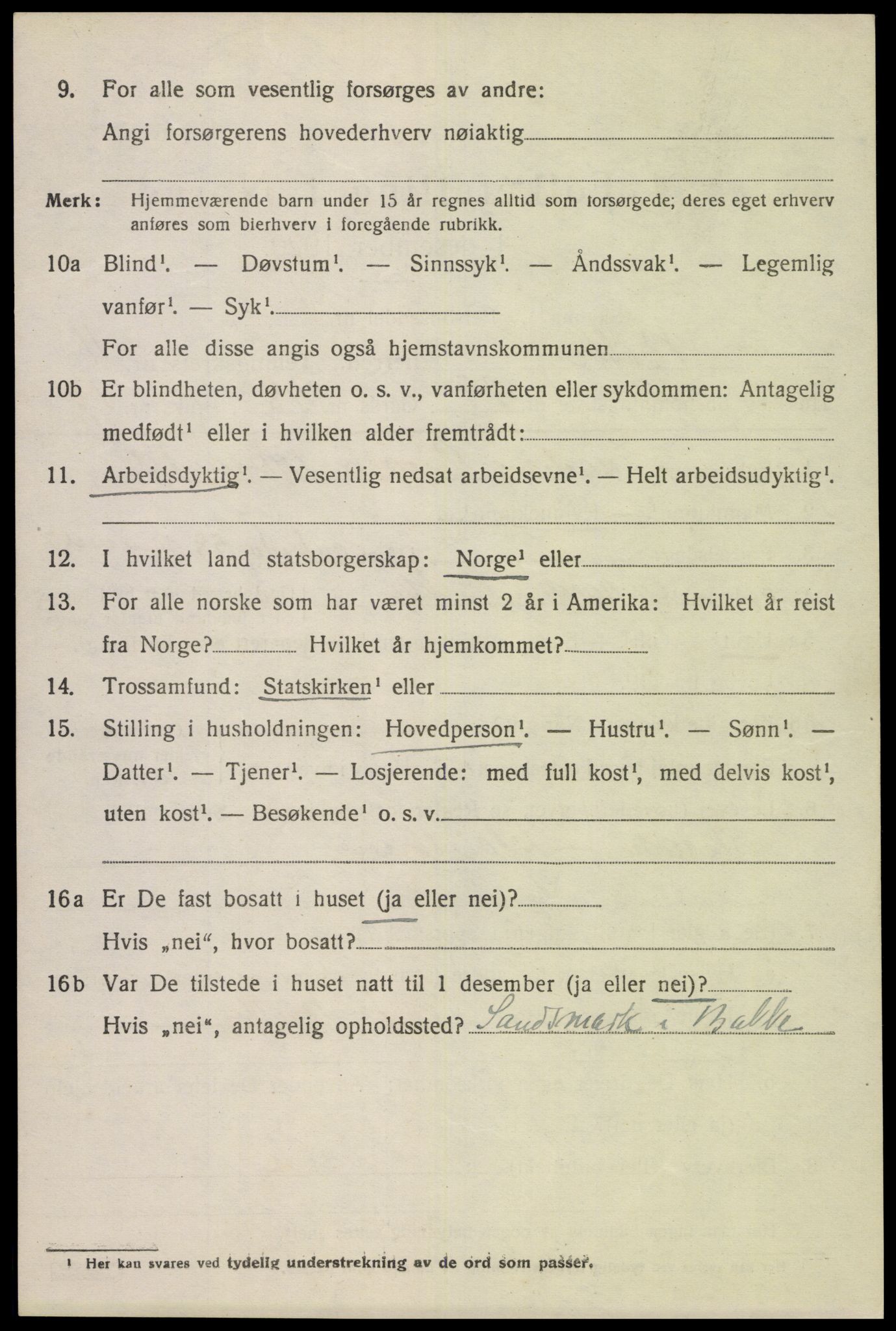 SAK, 1920 census for Bakke, 1920, p. 3115