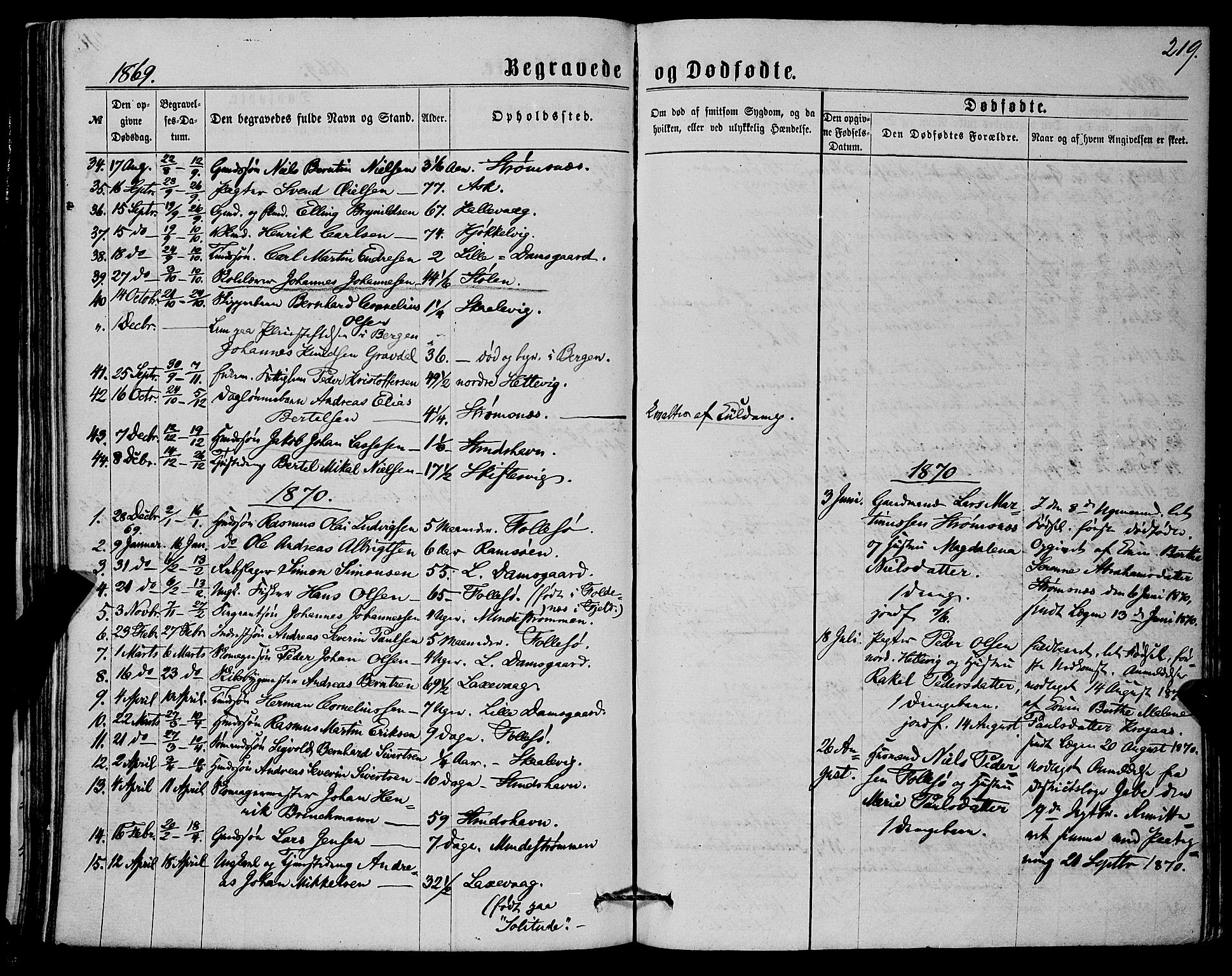 Askøy Sokneprestembete, SAB/A-74101/H/Ha/Haa/Haaa/L0009: Parish register (official) no. A 9, 1863-1877, p. 219