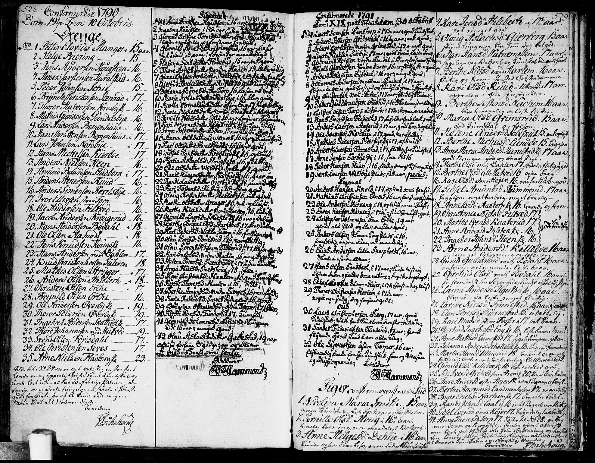 Rakkestad prestekontor Kirkebøker, AV/SAO-A-2008/F/Fa/L0005: Parish register (official) no. I 5, 1784-1814, p. 528-529