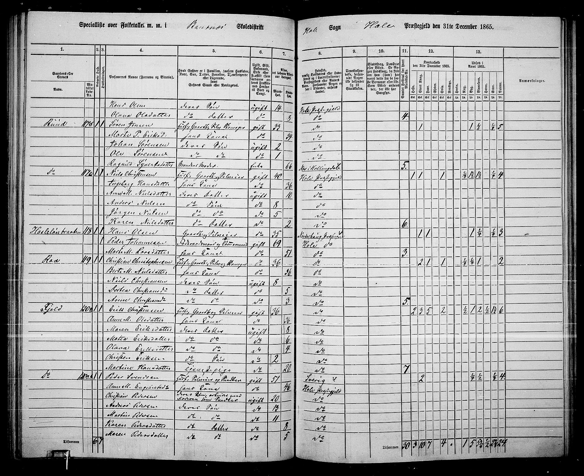 RA, 1865 census for Hole, 1865, p. 89