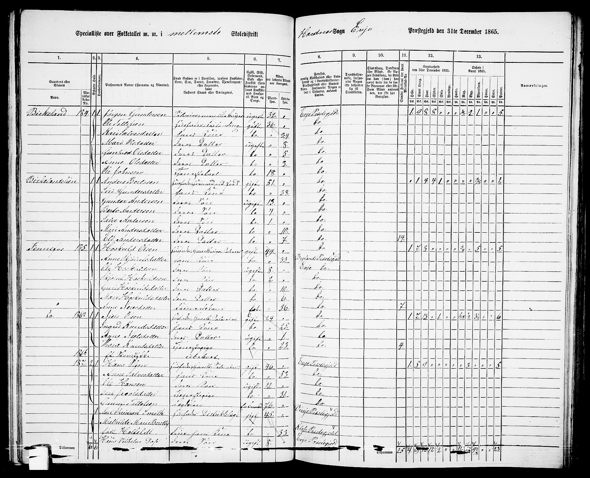 RA, 1865 census for Evje, 1865, p. 86