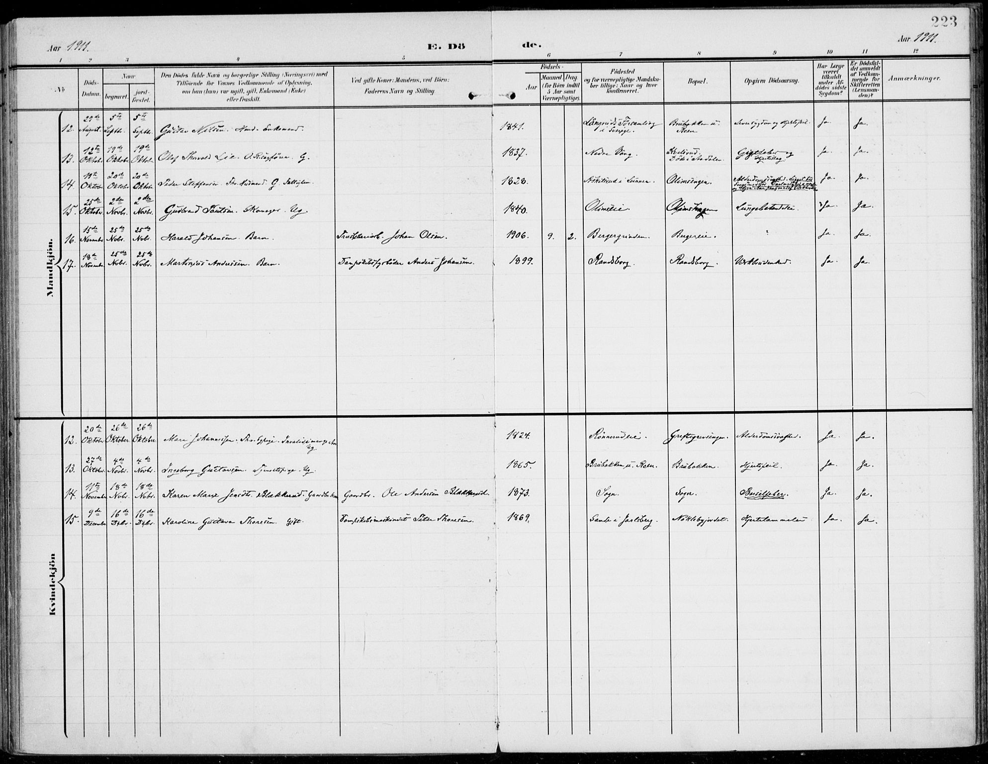Jevnaker prestekontor, SAH/PREST-116/H/Ha/Haa/L0011: Parish register (official) no. 11, 1902-1913, p. 223