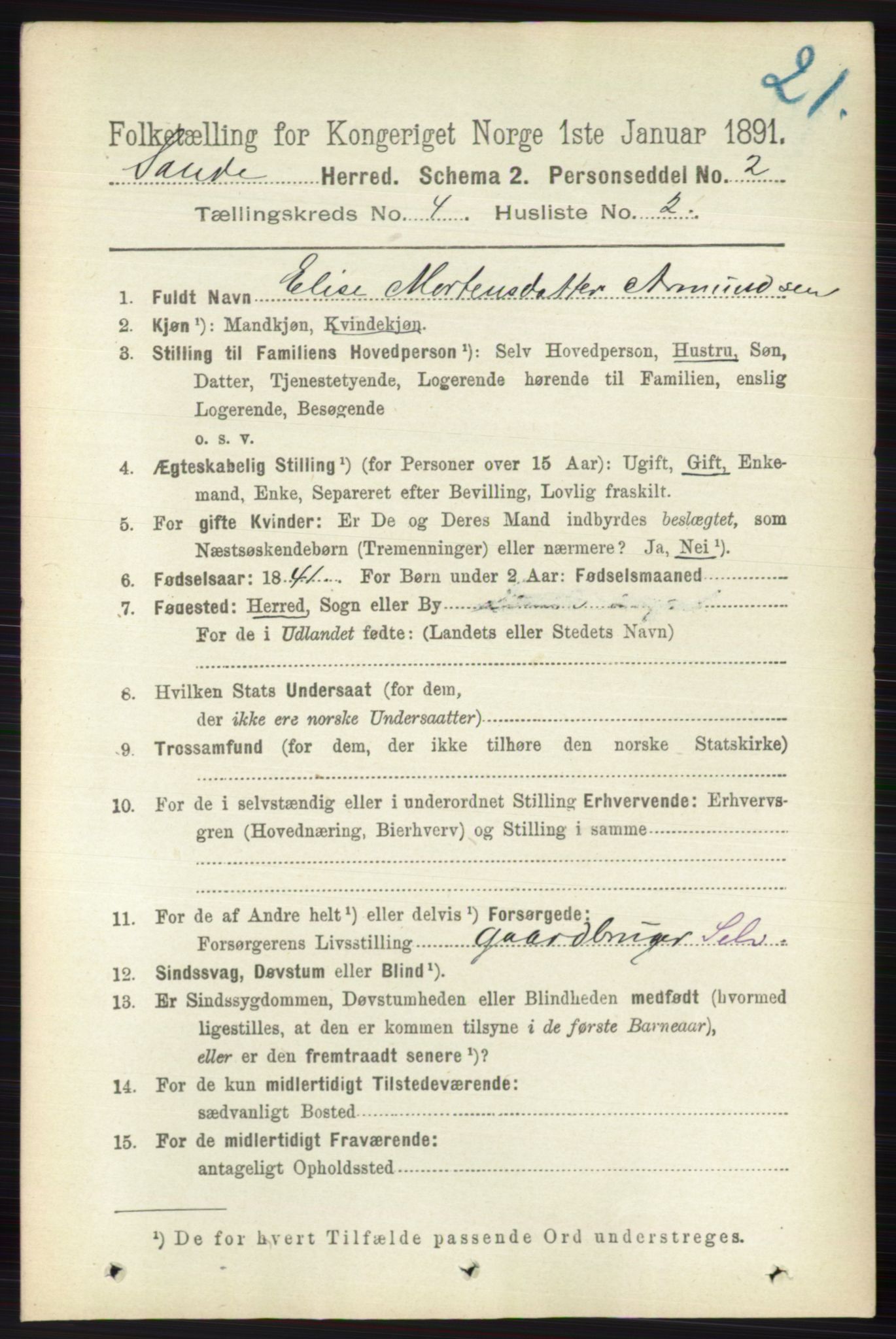 RA, 1891 census for 0713 Sande, 1891, p. 1489