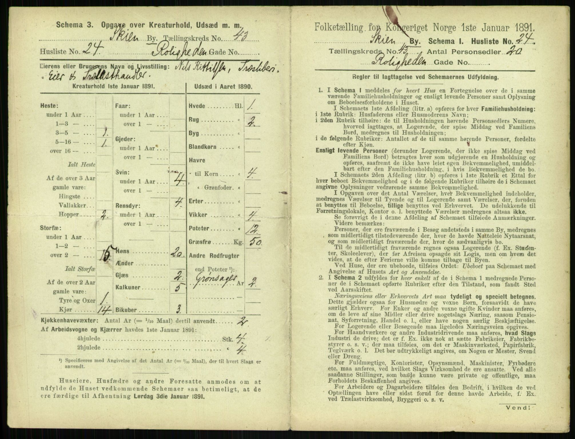 RA, 1891 census for 0806 Skien, 1891, p. 1530