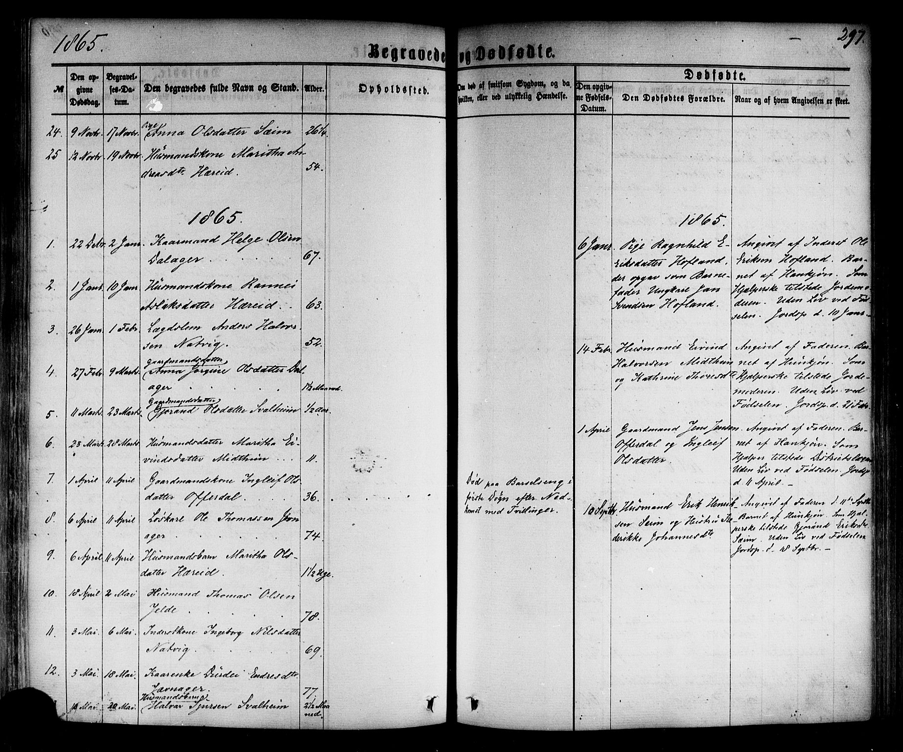 Årdal sokneprestembete, SAB/A-81701: Parish register (official) no. A 3, 1863-1886, p. 297