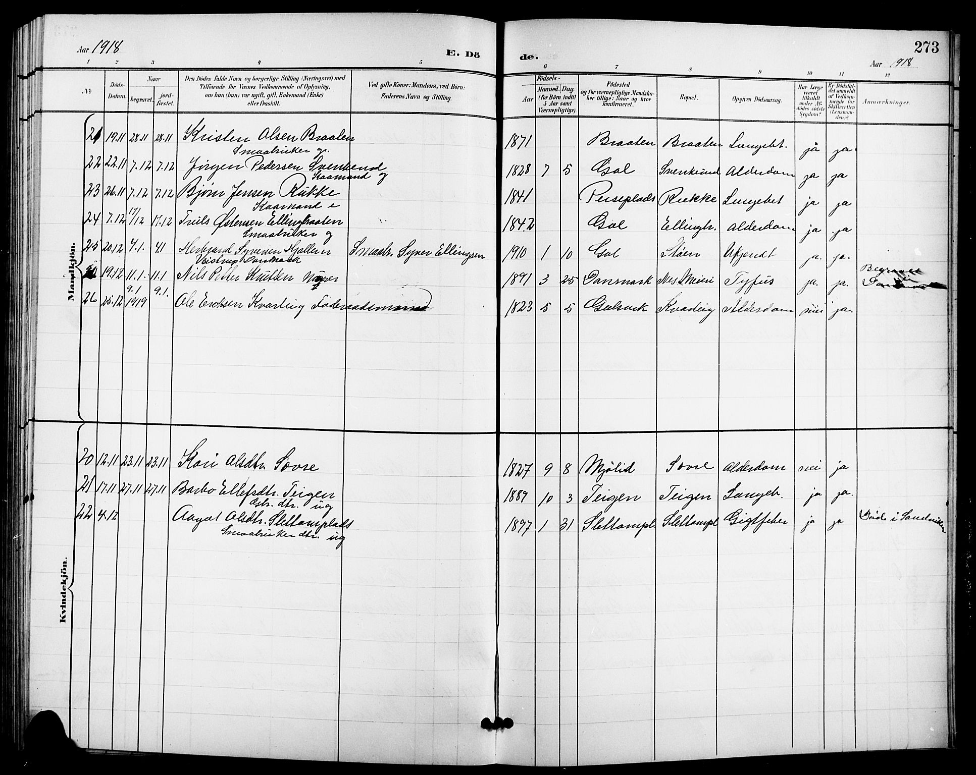 Nes kirkebøker, AV/SAKO-A-236/G/Ga/L0004: Parish register (copy) no. I 4, 1900-1925, p. 273