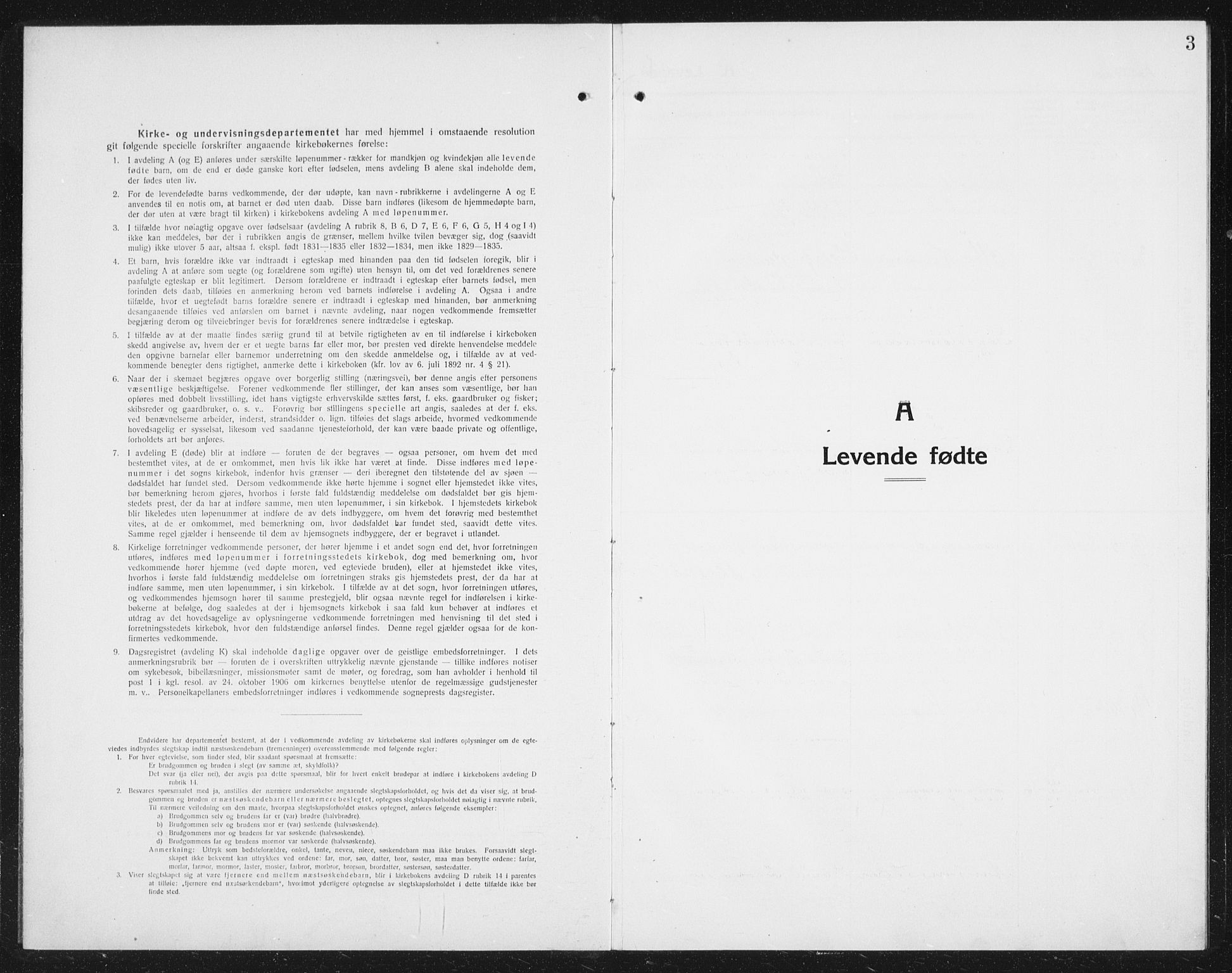 Ministerialprotokoller, klokkerbøker og fødselsregistre - Nordland, SAT/A-1459/887/L1229: Parish register (copy) no. 887C01, 1916-1935, p. 3