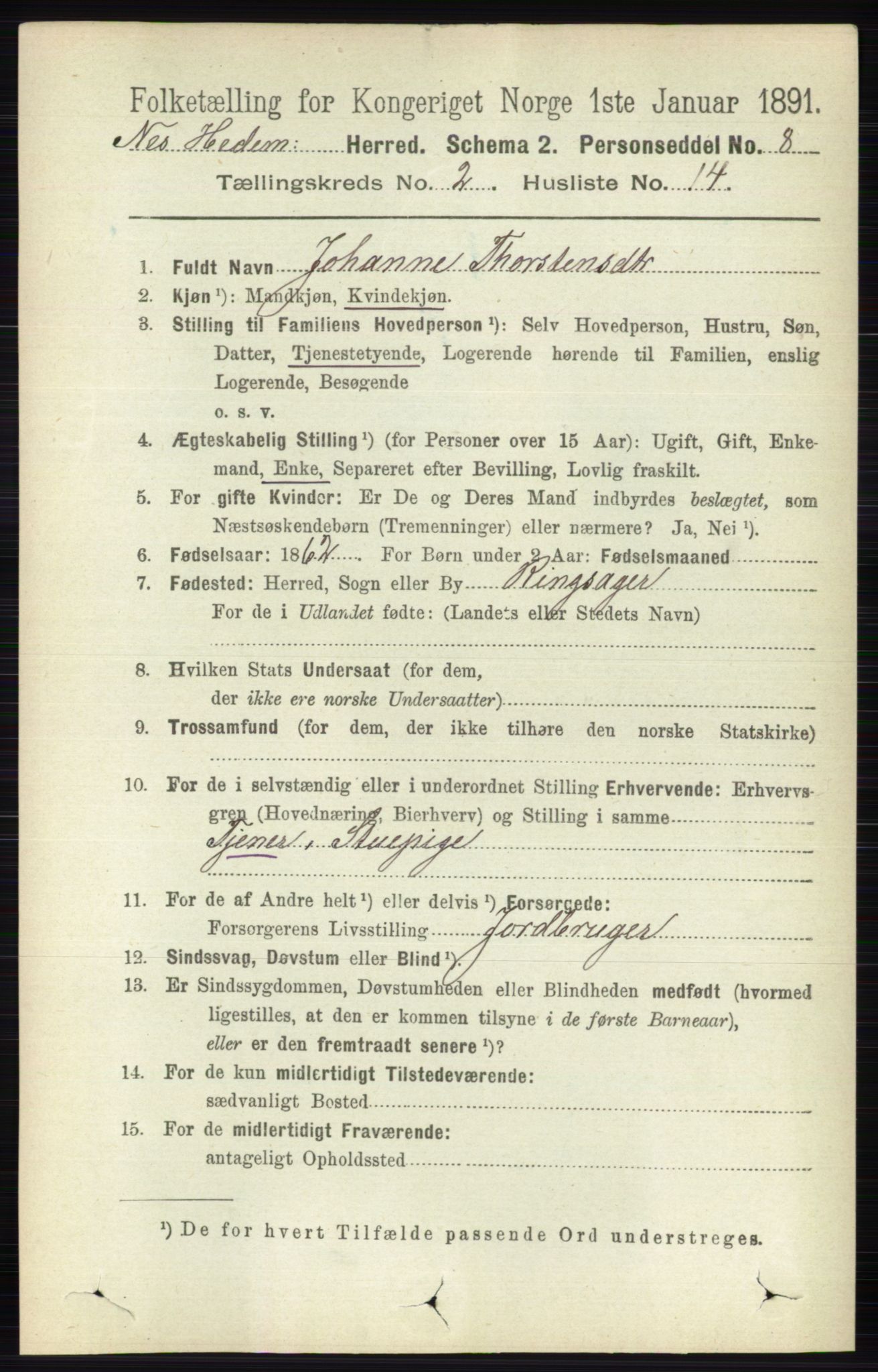 RA, 1891 census for 0411 Nes, 1891, p. 1158
