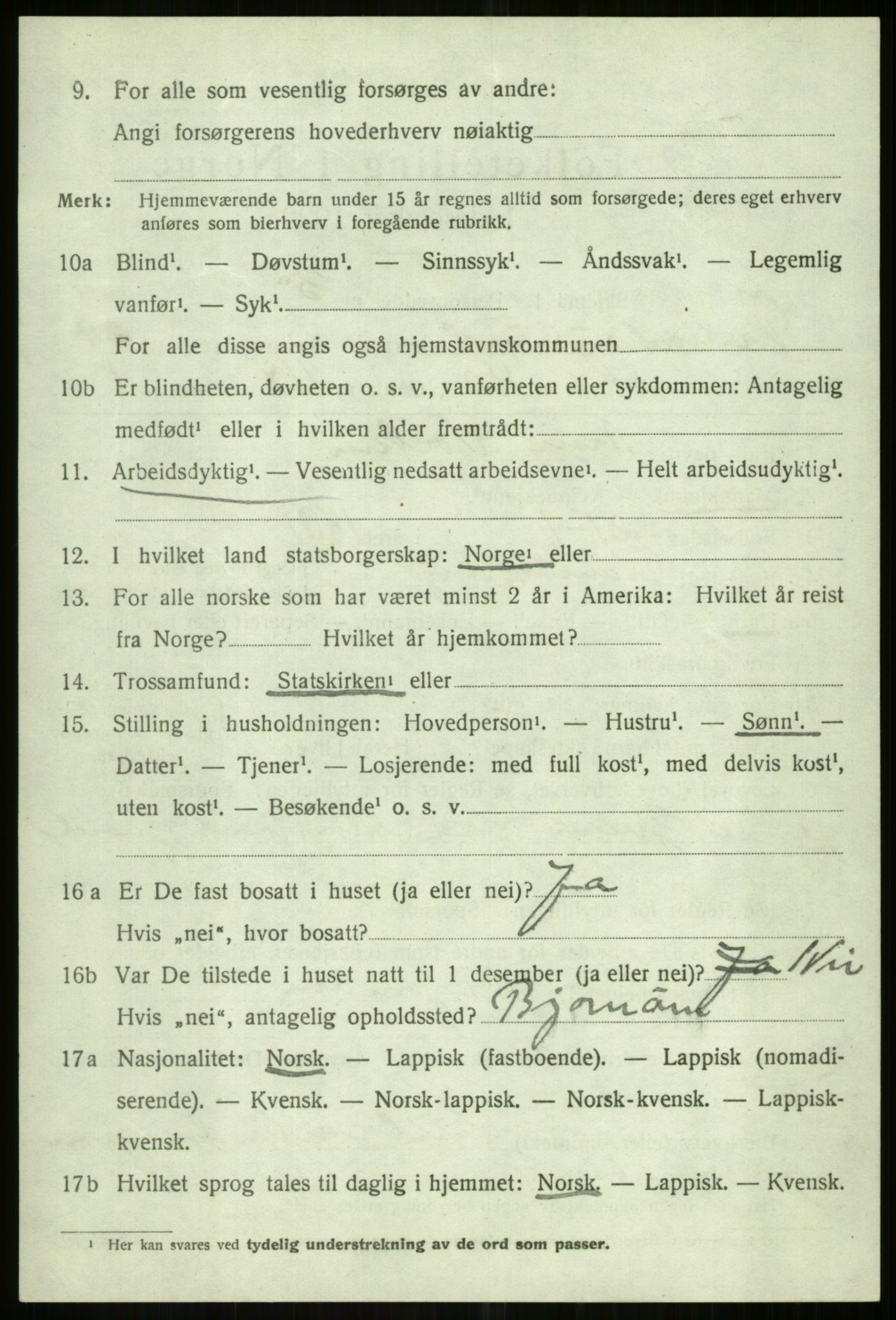 SATØ, 1920 census for Tromsøysund, 1920, p. 13835