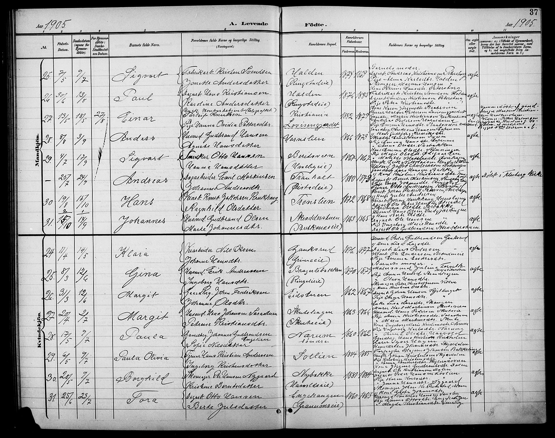 Søndre Land prestekontor, AV/SAH-PREST-122/L/L0004: Parish register (copy) no. 4, 1901-1915, p. 37