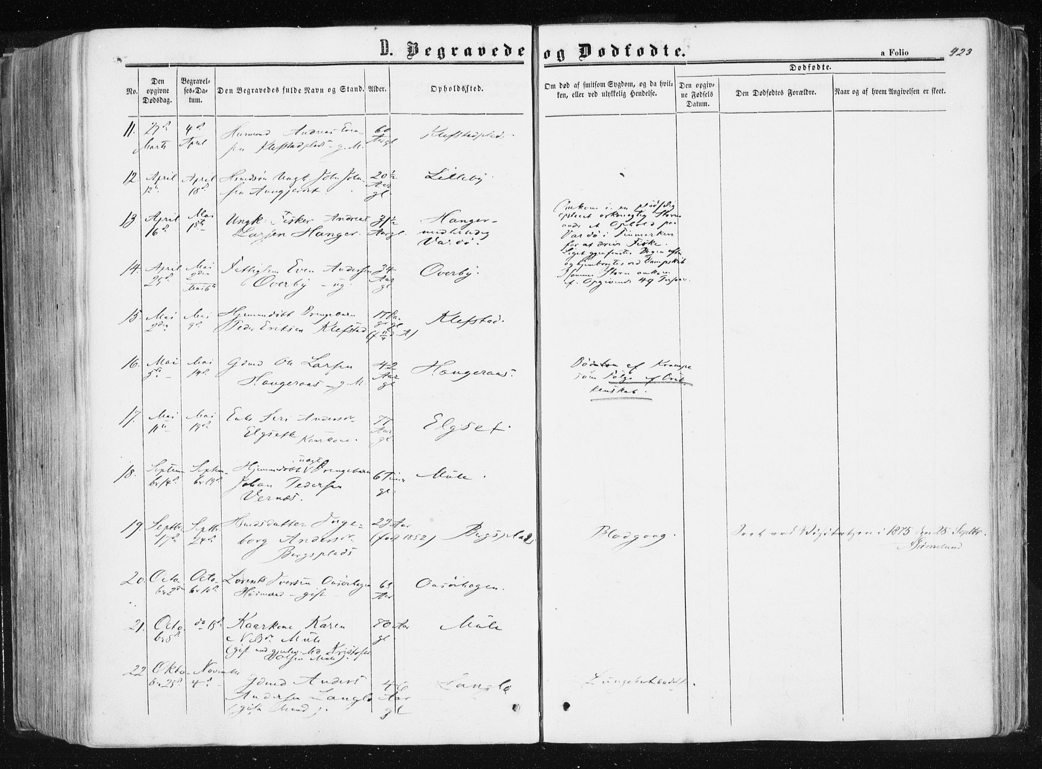 Ministerialprotokoller, klokkerbøker og fødselsregistre - Sør-Trøndelag, AV/SAT-A-1456/612/L0377: Parish register (official) no. 612A09, 1859-1877, p. 423