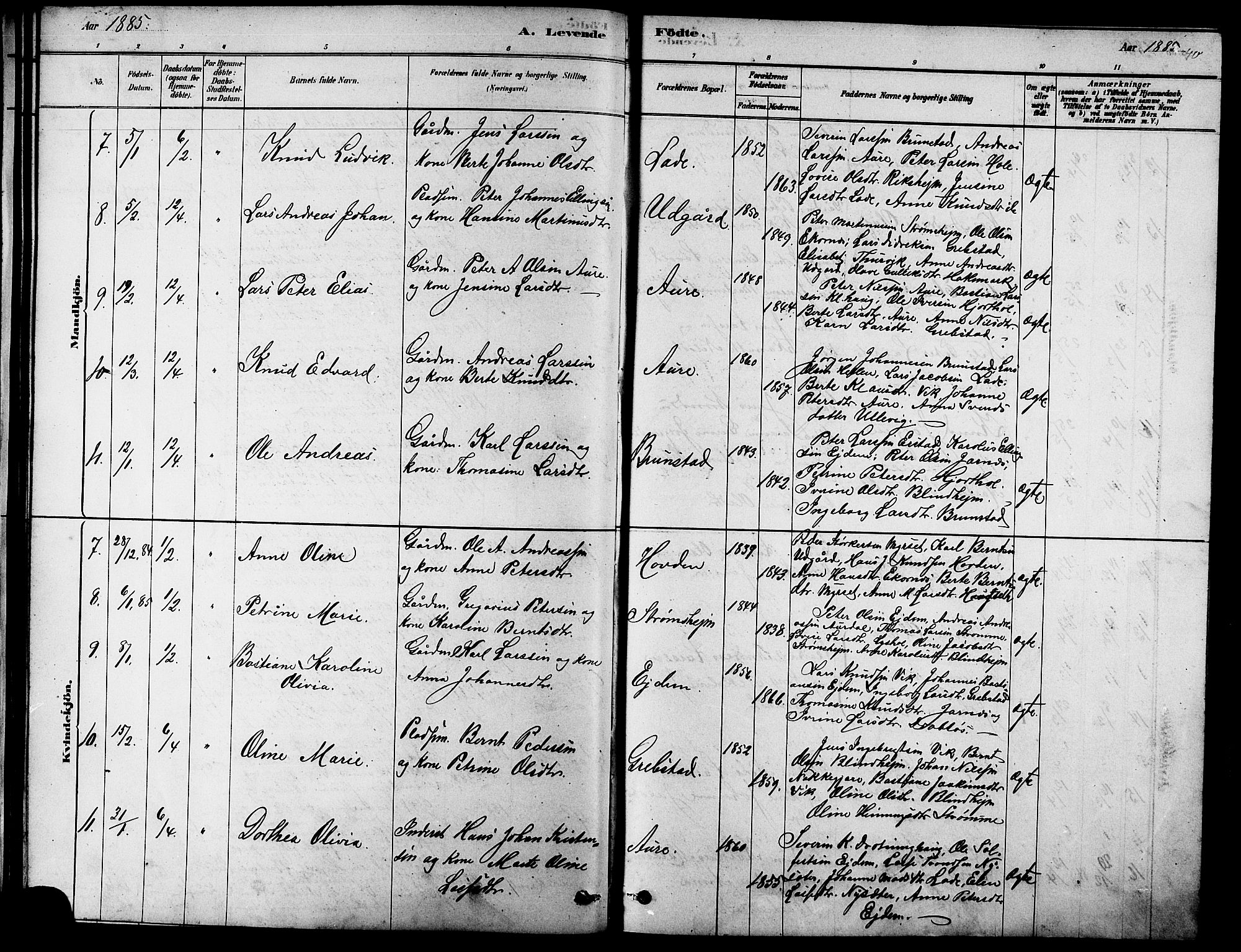 Ministerialprotokoller, klokkerbøker og fødselsregistre - Møre og Romsdal, SAT/A-1454/523/L0339: Parish register (copy) no. 523C02, 1878-1891, p. 40