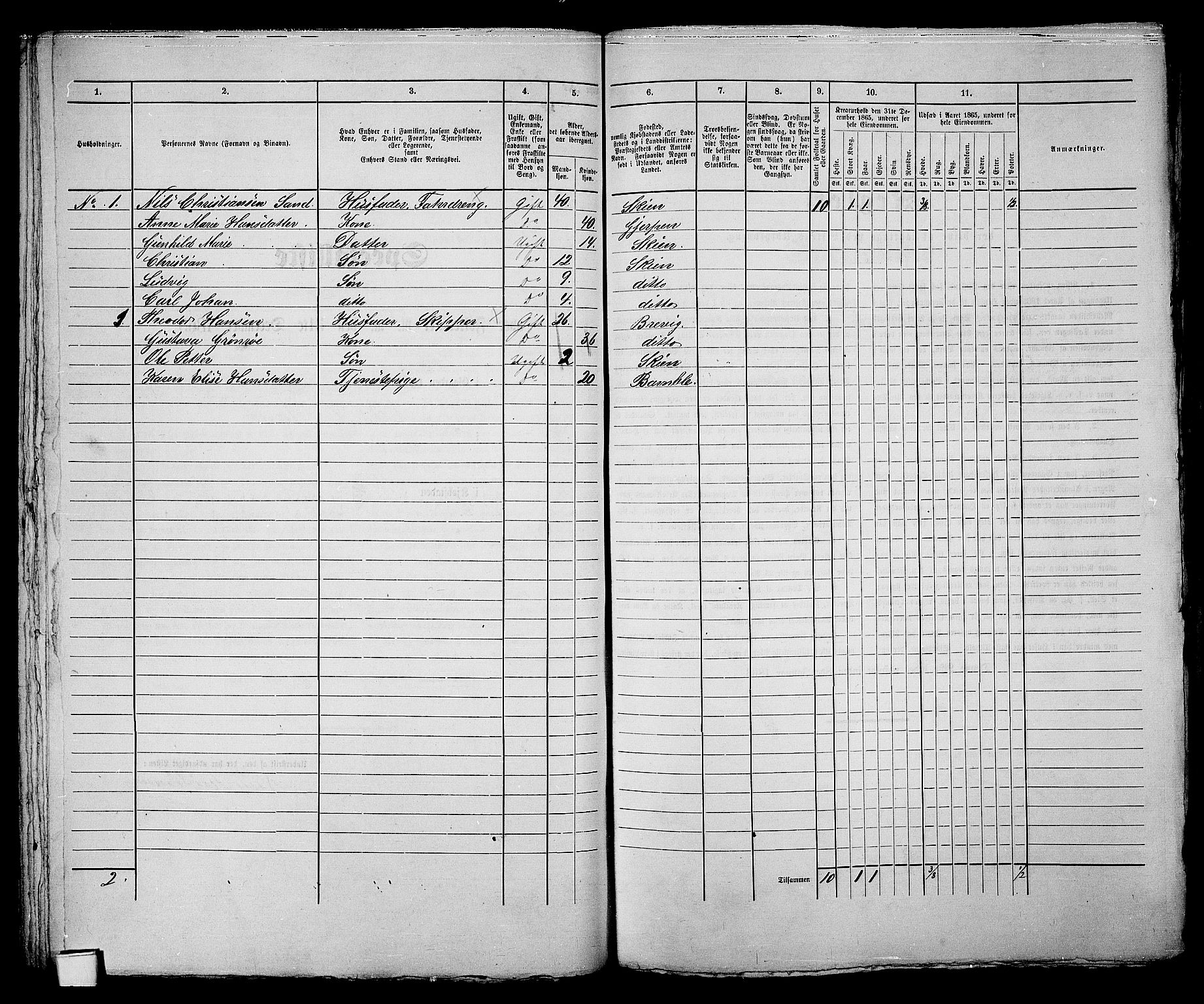 RA, 1865 census for Skien, 1865, p. 102